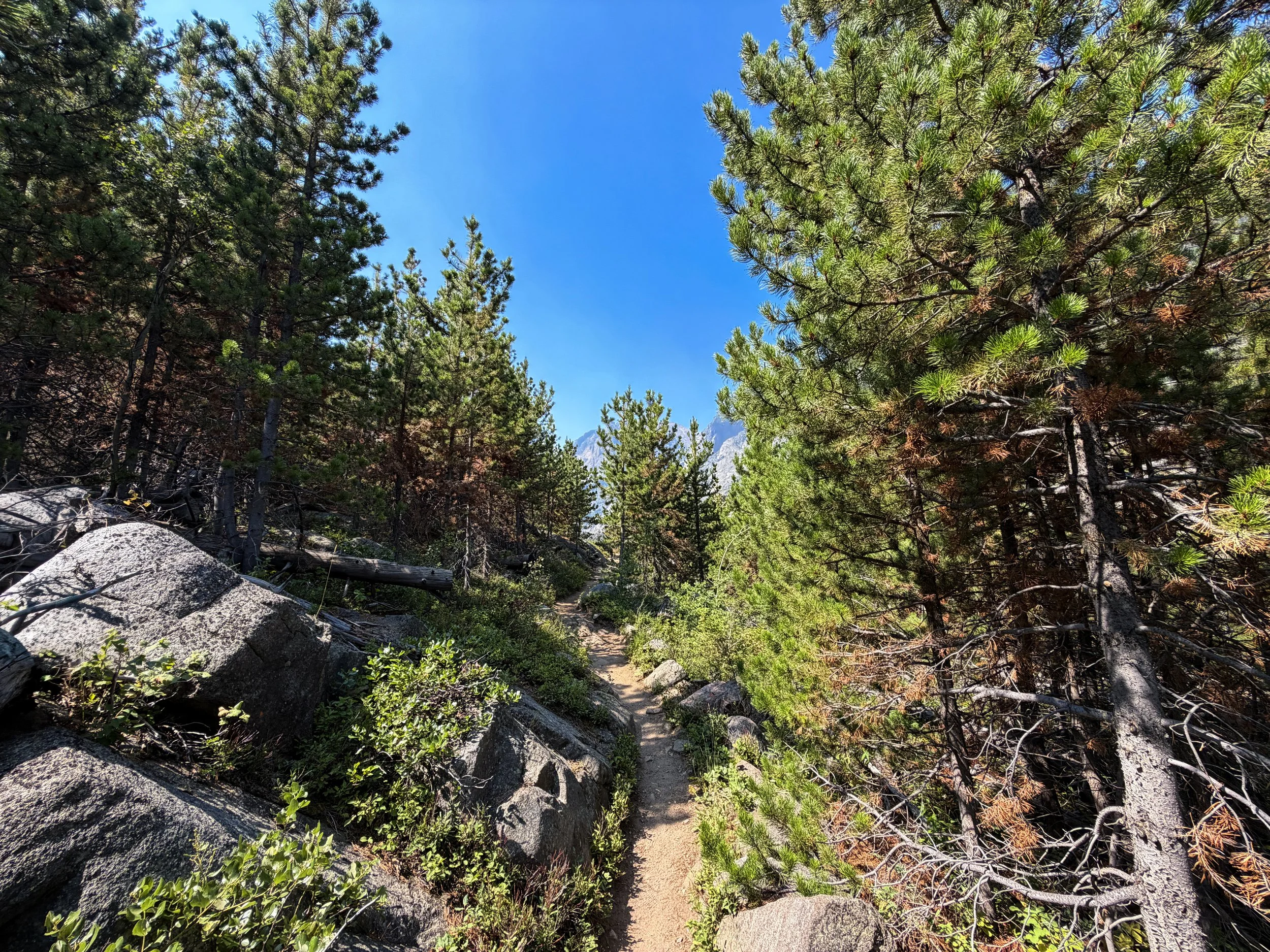 Beaten Path Hike Beartooth Mountains Montana