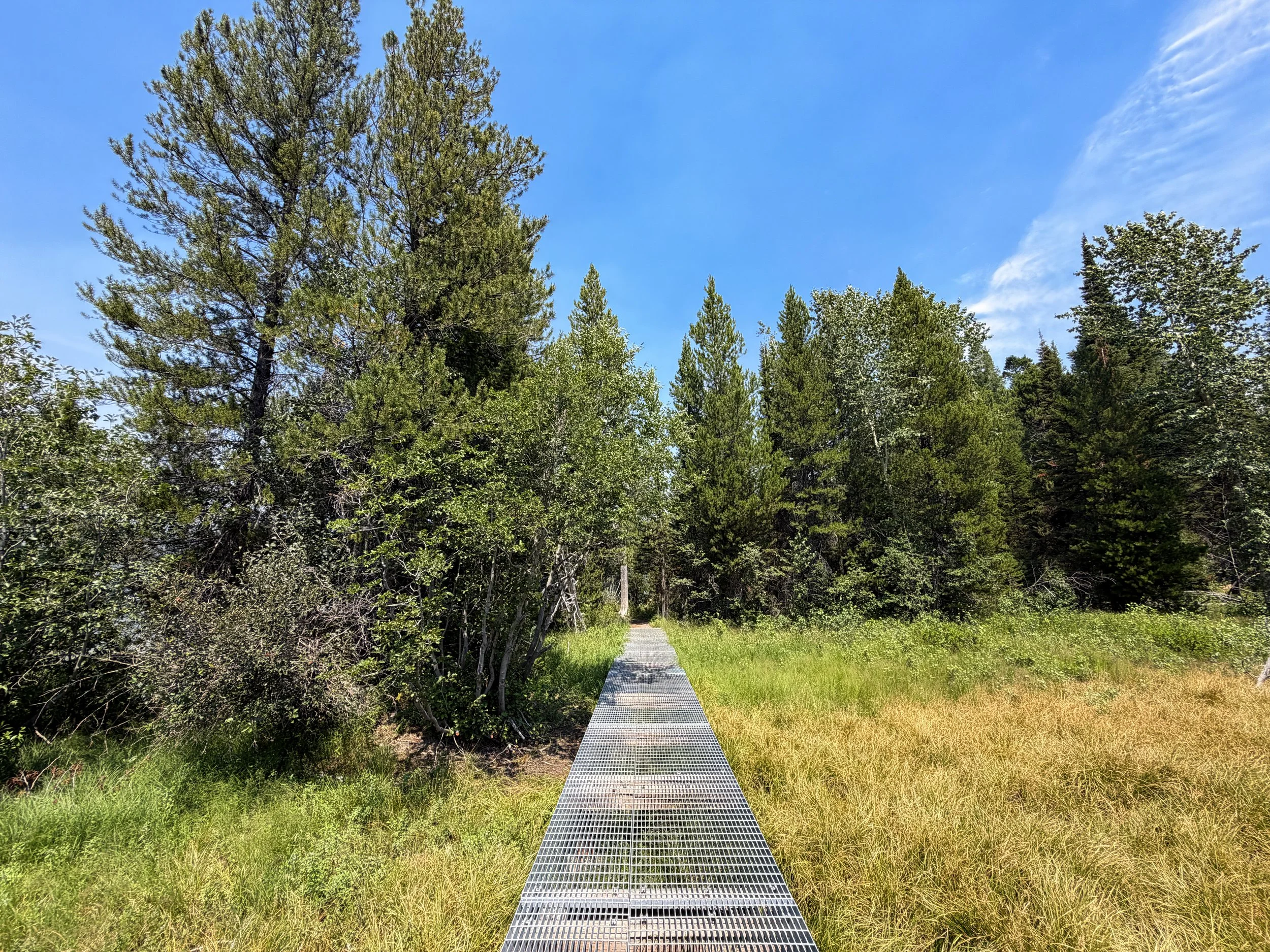 Phelps Lake Loop Trail Boardwalk Grand Teton National Park Wyoming