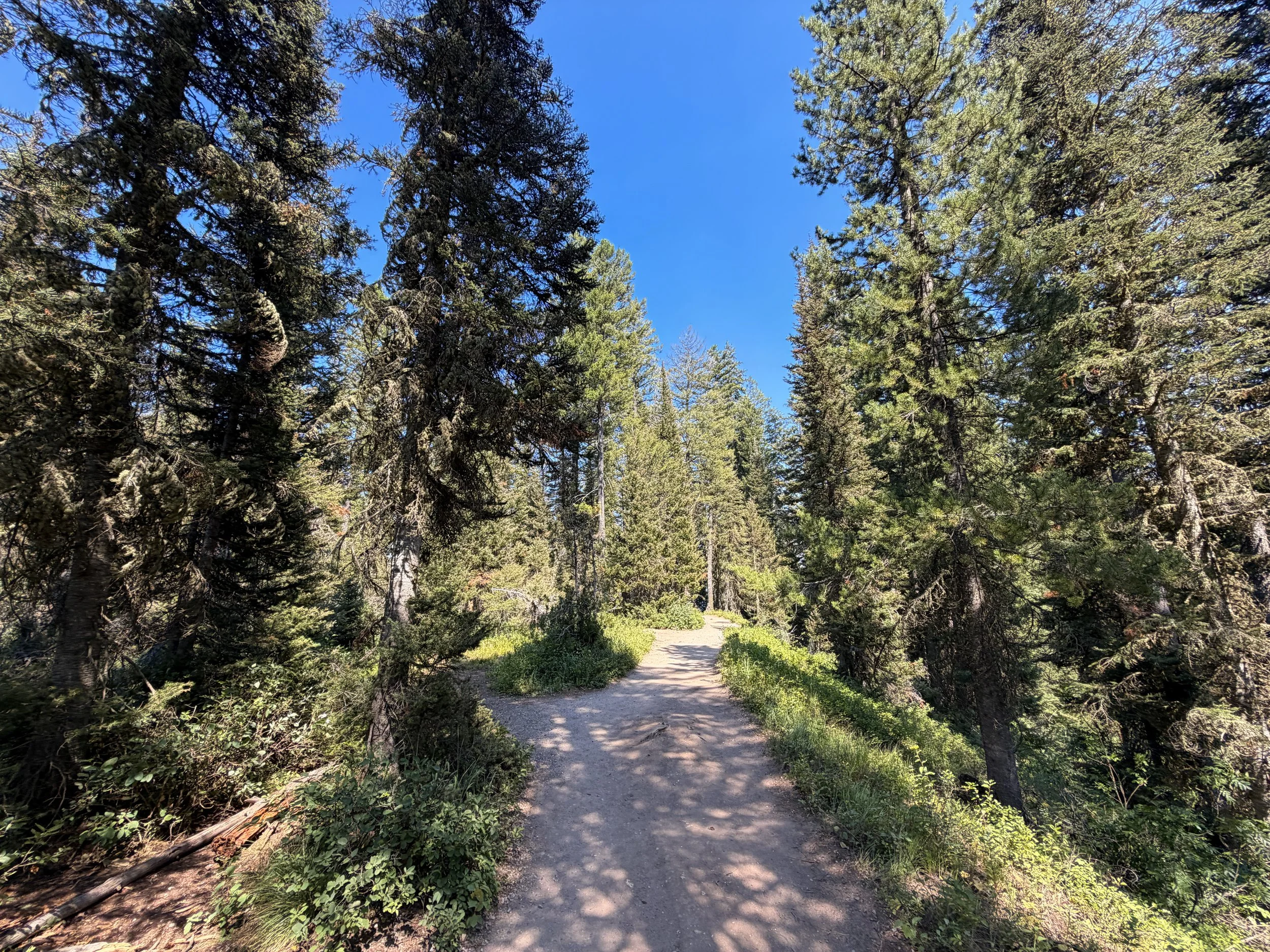 Jenny Lake Loop Trail Grand Teton National Park Wyoming