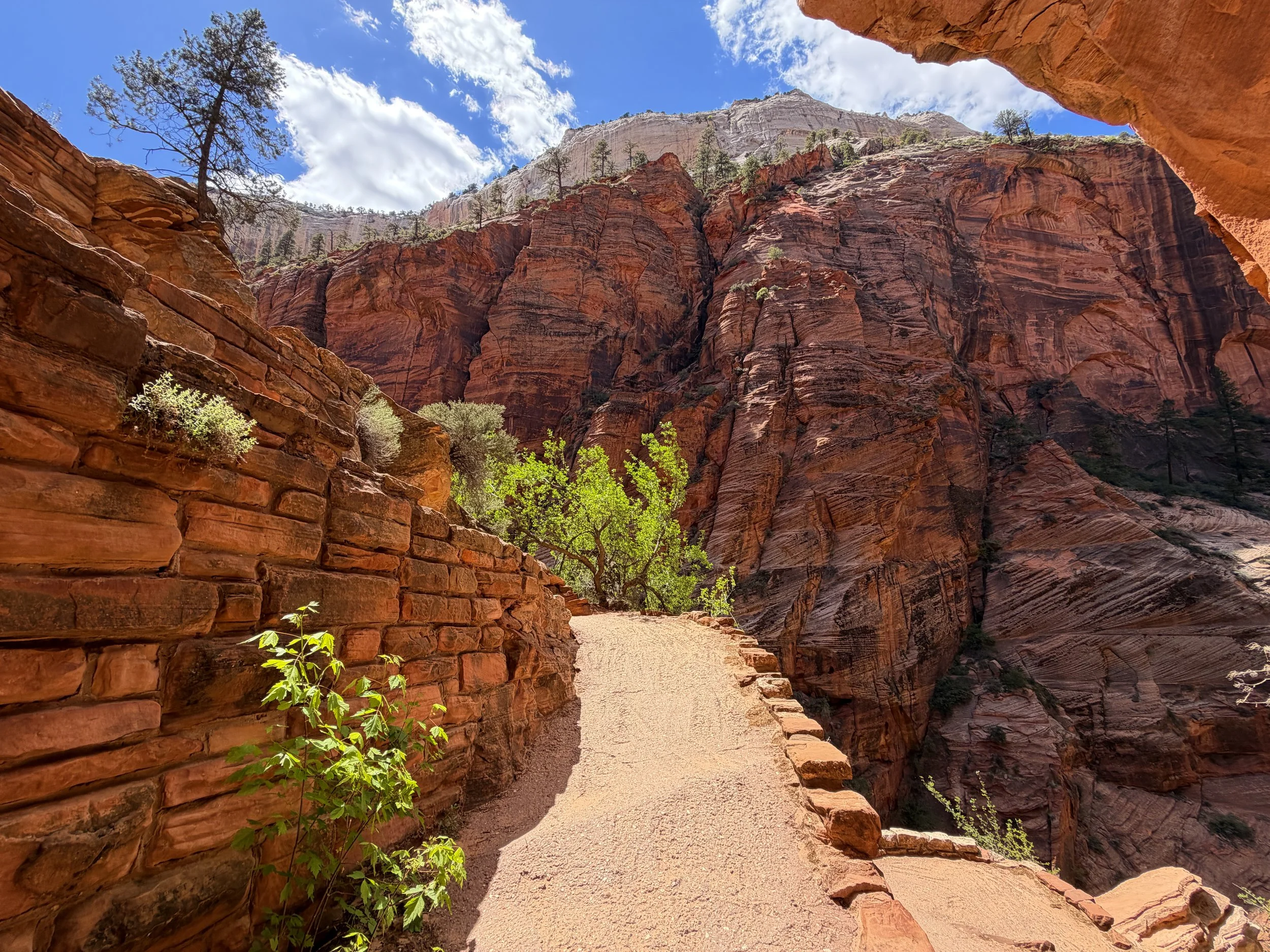 Angels Landing Trail Walters Wiggles Zion National Park Utah