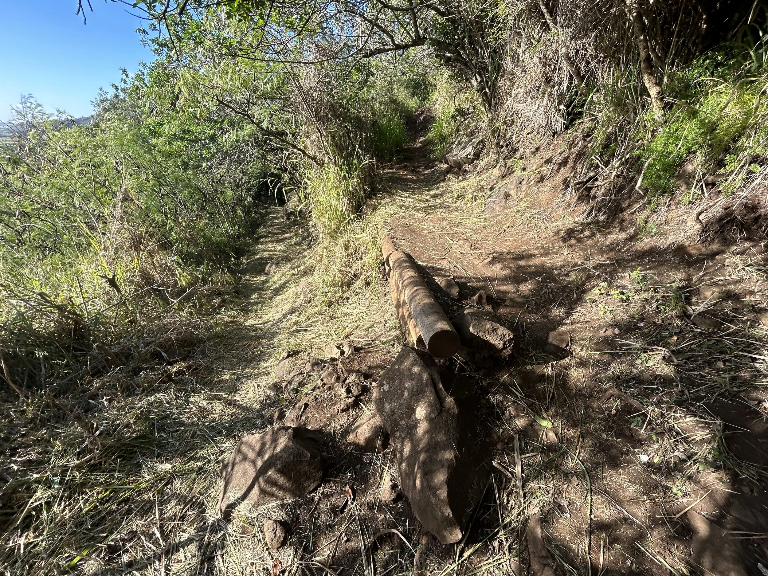 Hiking the East Sleeping Giant Trail (Nounou Mountain) on Kauaʻi