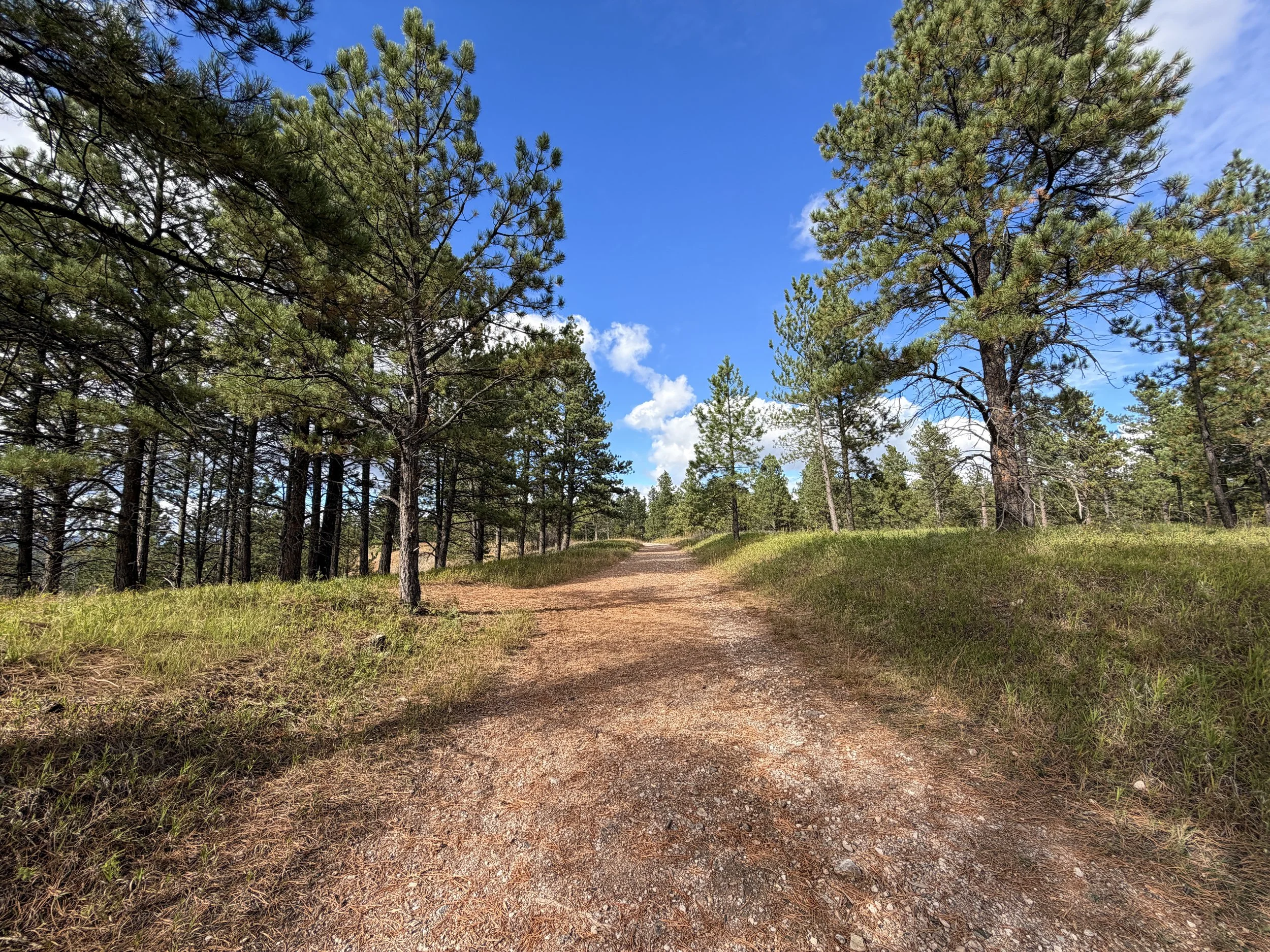 Stratobowl Rim Hike Black Hills South Dakota