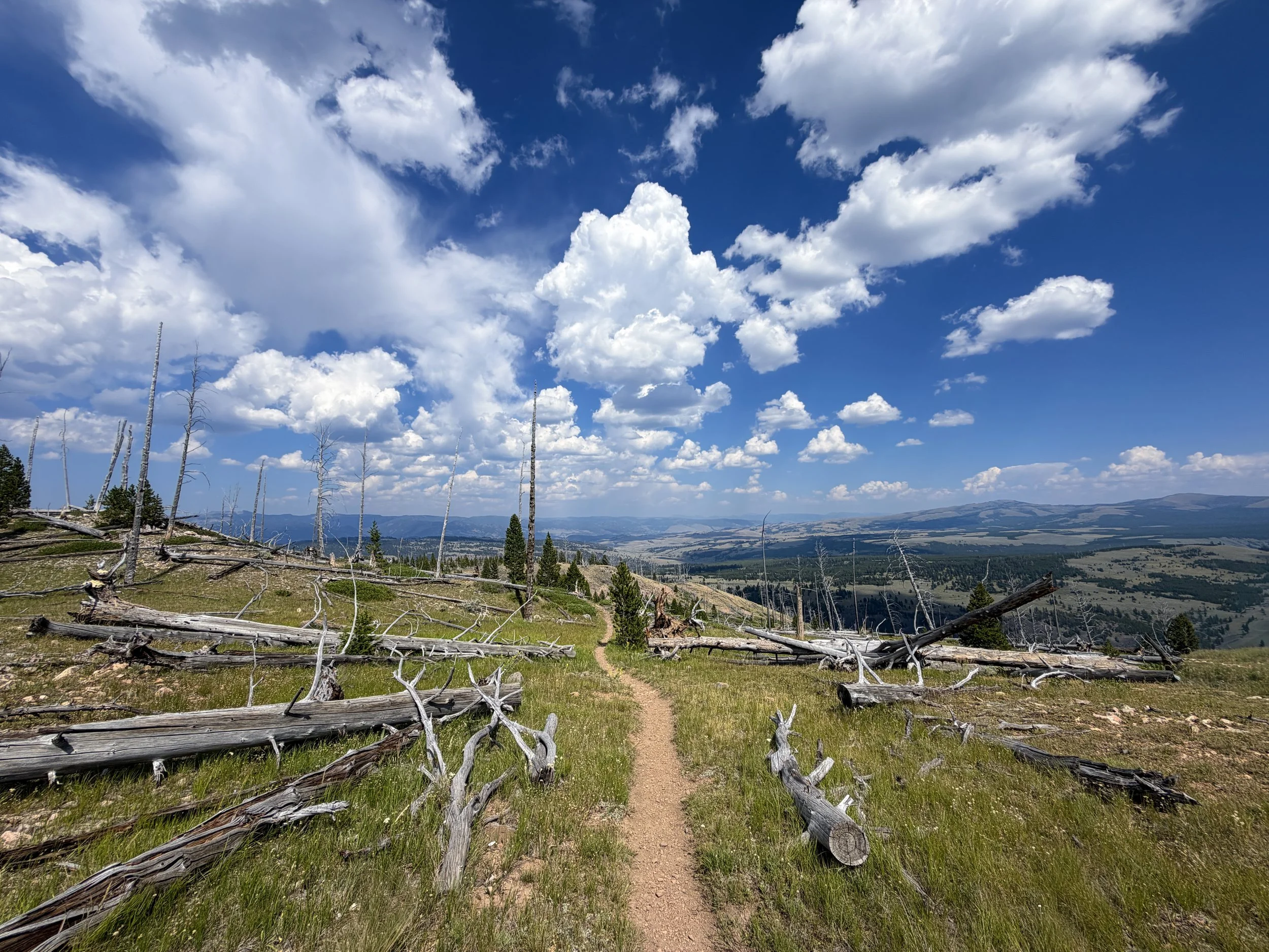 Bunsen Peak Trail to Osprey Falls Yellowstone National Park Wyoming