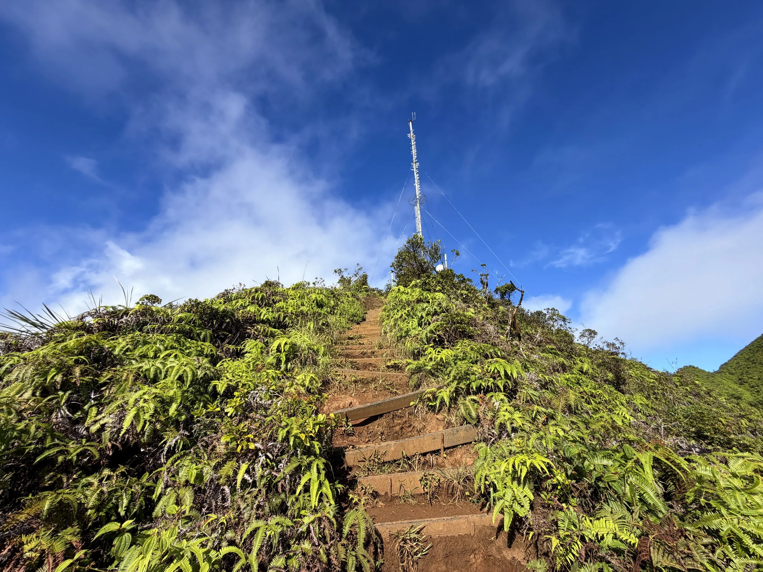 Wiliwilinui Ridge Trail Stairs Oahu Hawaii