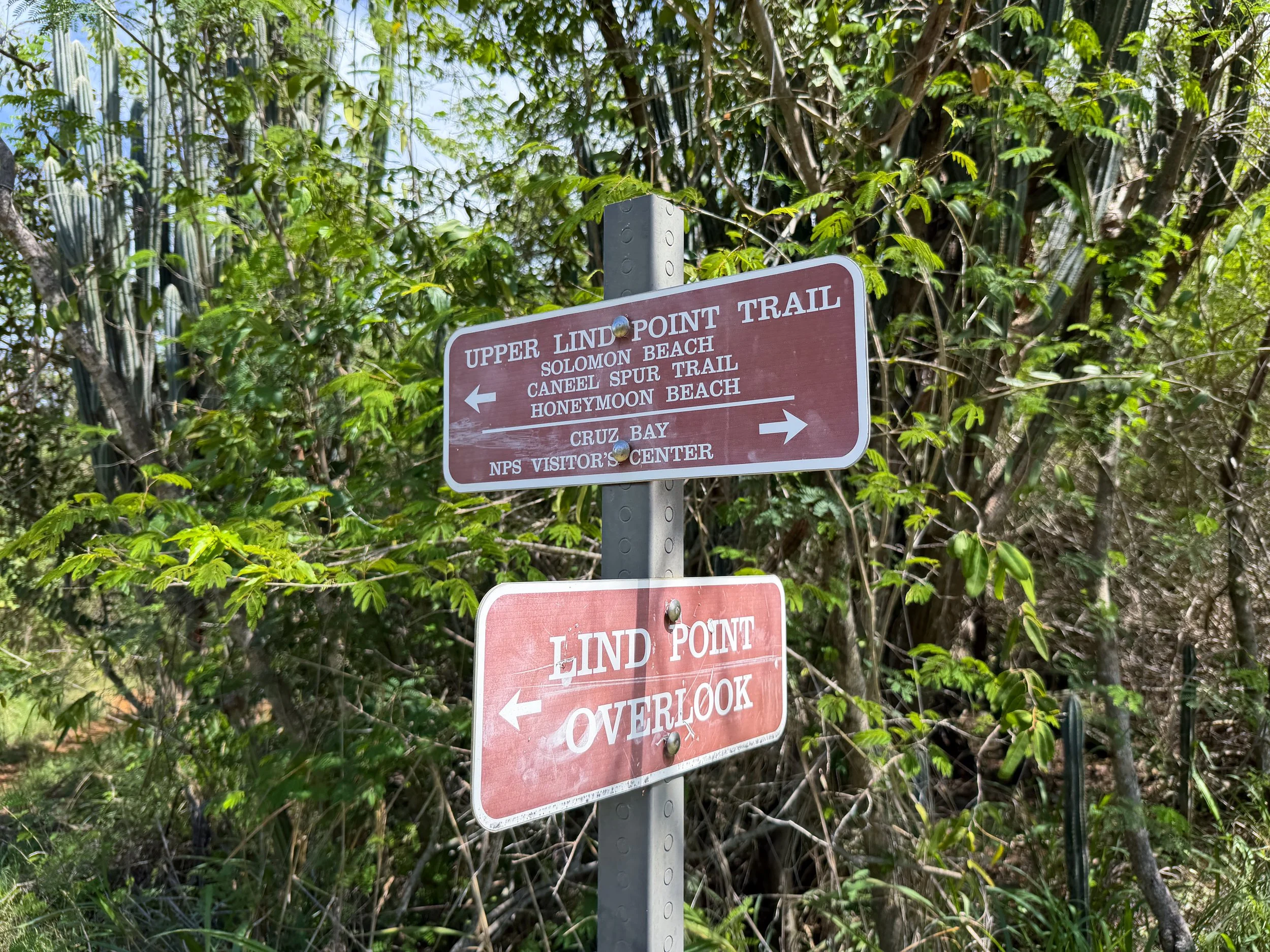 Lind Point Trail Virgin Islands National Park