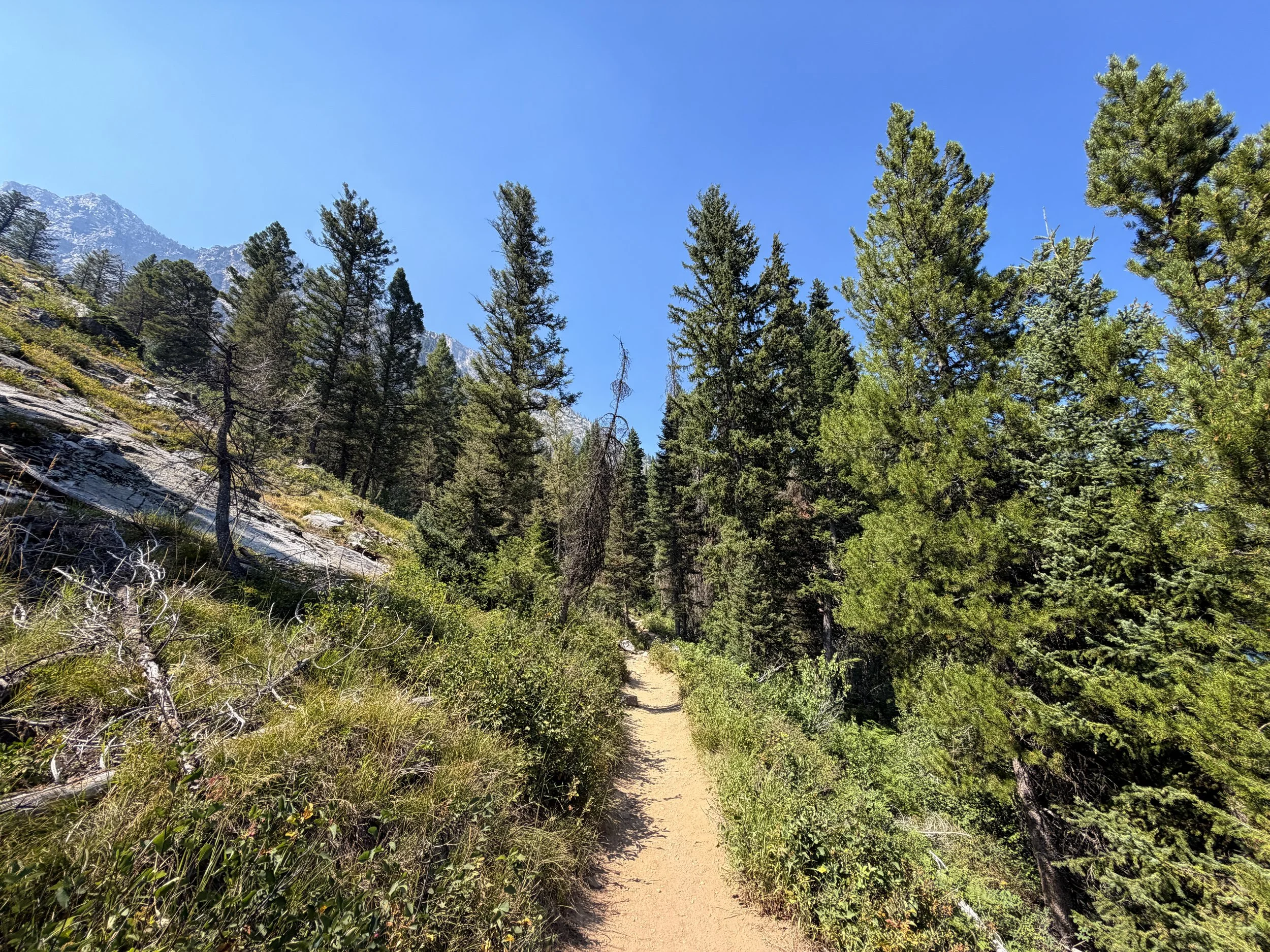 Jenny Lake Loop Trail Grand Teton National Park Wyoming