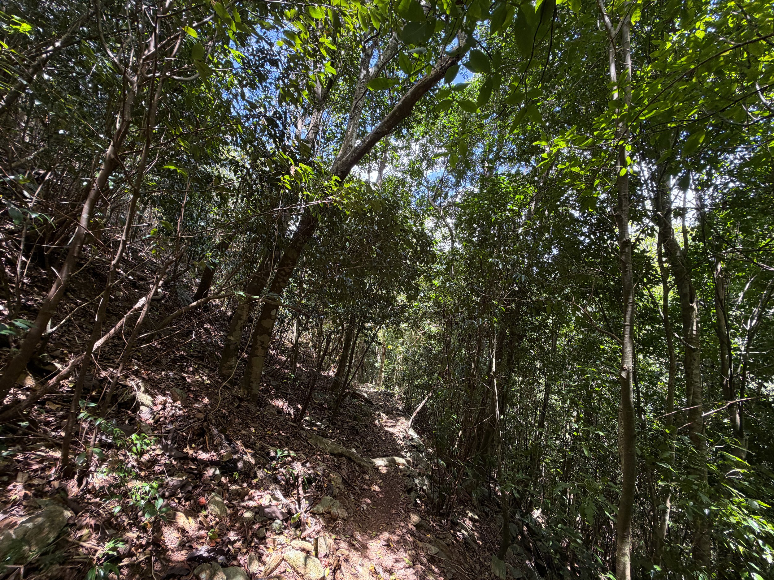 Maria Hope Hike Virgin Islands National Park