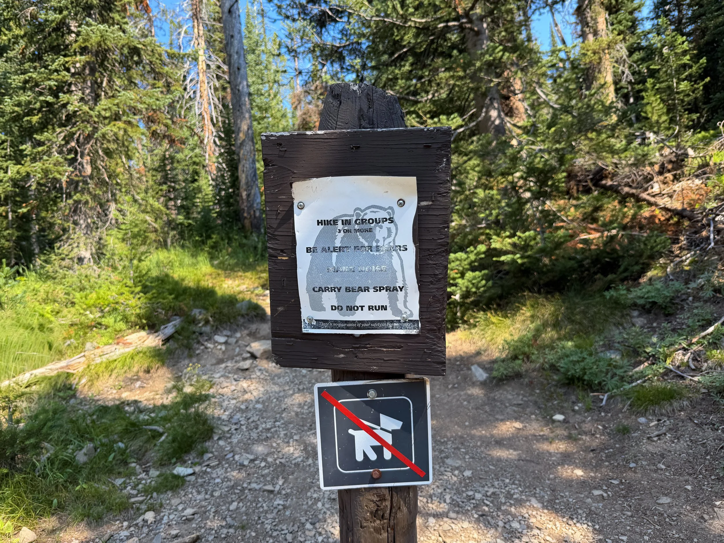 Avalanche Peak Trailhead Yellowstone National Park Wyoming