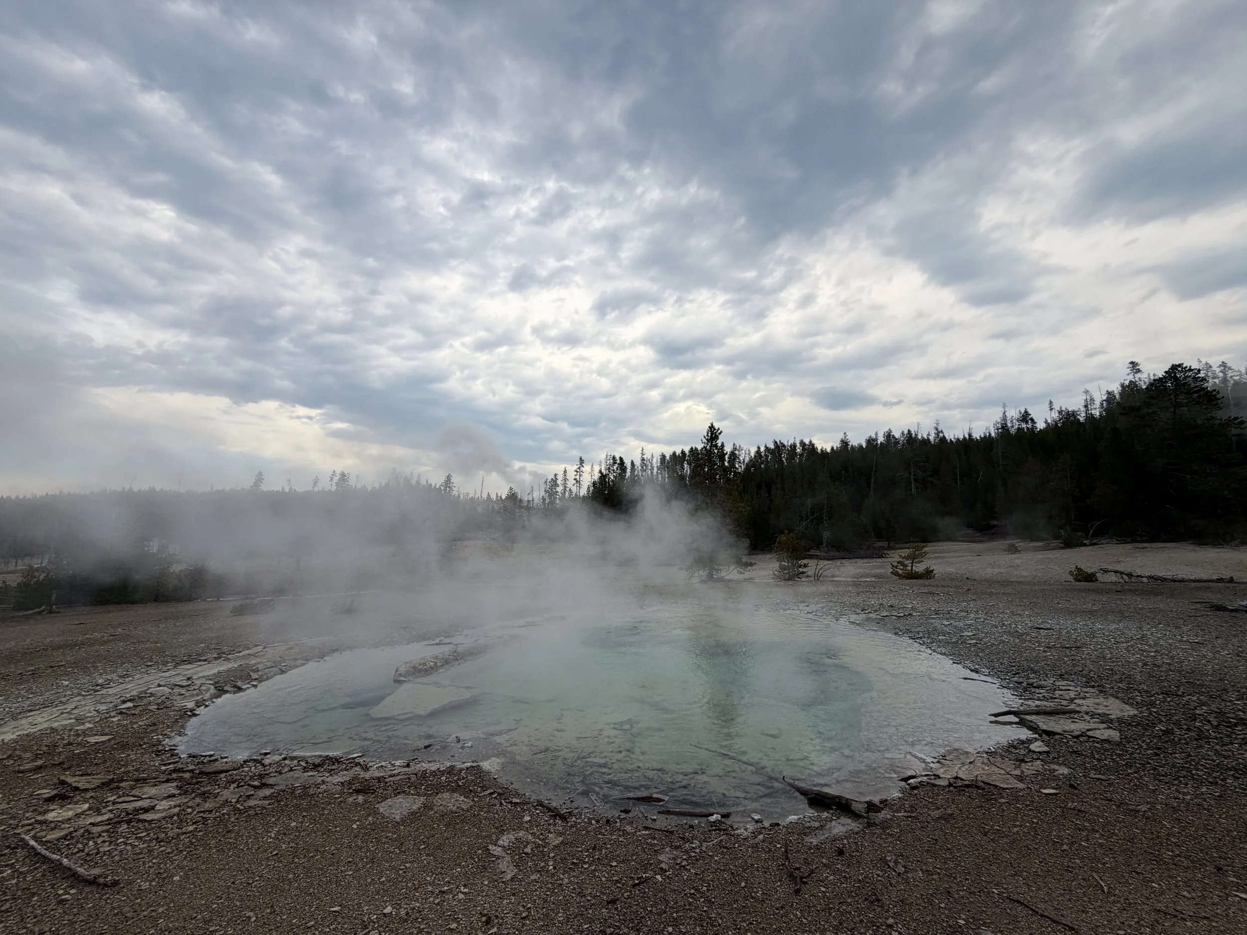 Crater Spring Norris Geyser Basin Trail Yellowstone National Park Wyoming