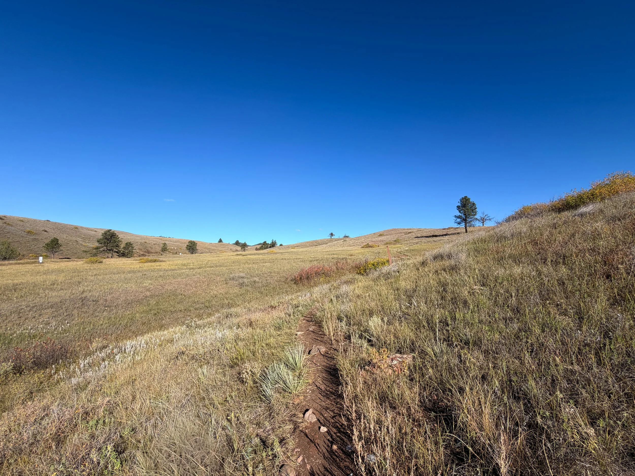 Prairie Vista Trail Wind Cave National Park South Dakota