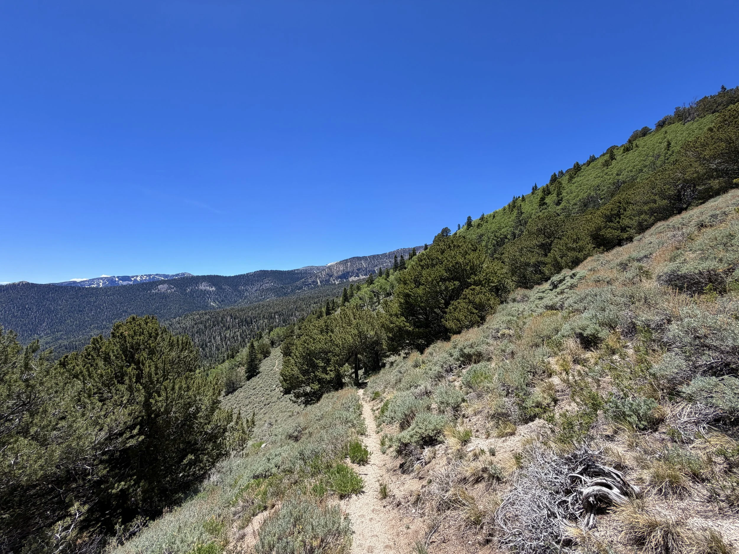 Timber Creek Trail to Johnson Lake Trail Great Basin National Park Nevada