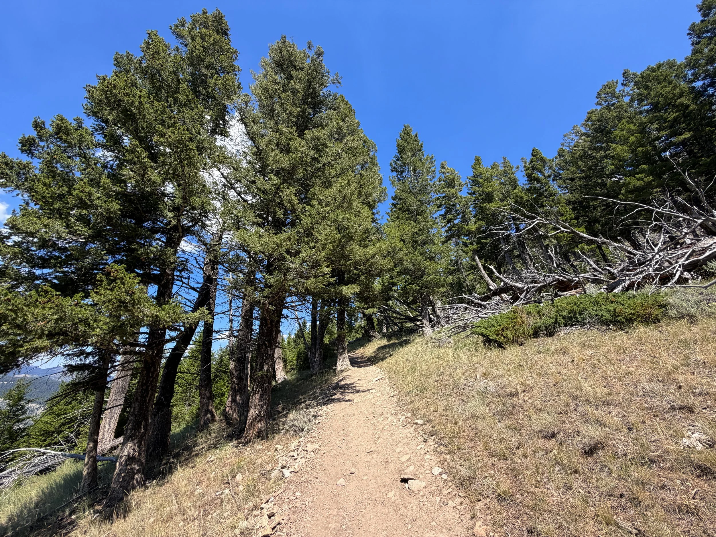 Bunsen Peak Hike Yellowstone National Park Wyoming