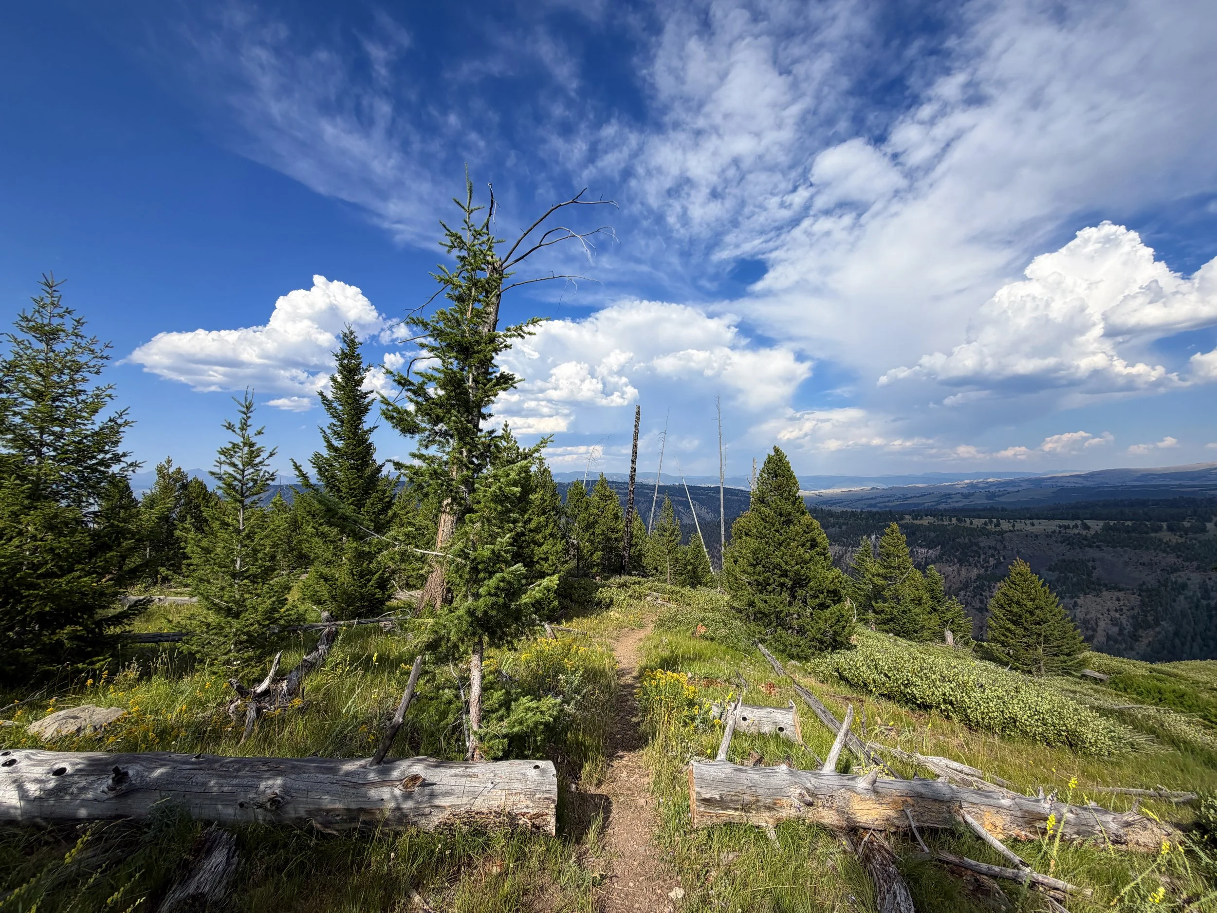 Bunsen Peak Trail Yellowstone National Park Wyoming