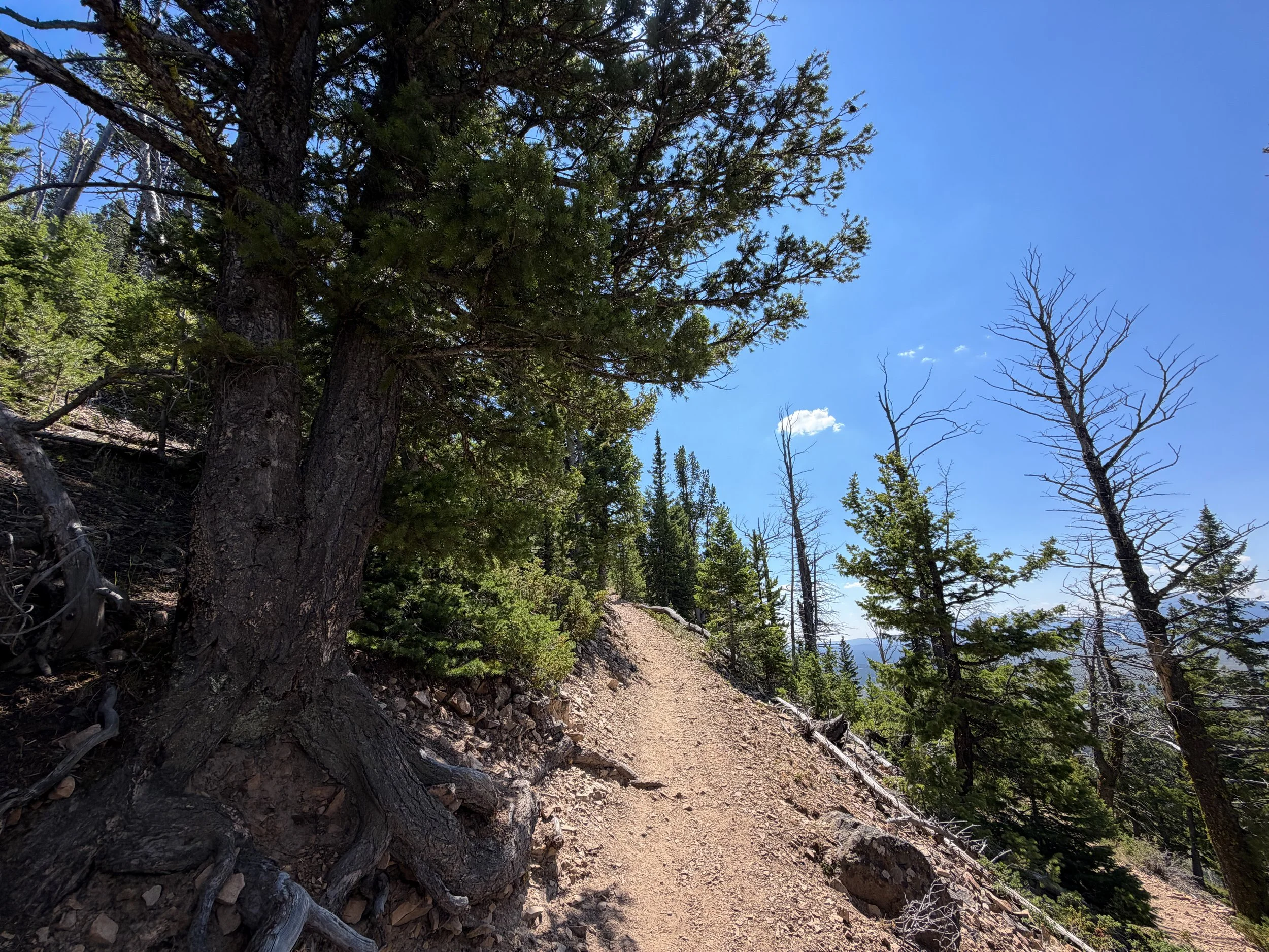 Bunsen Peak Trail Yellowstone National Park Wyoming