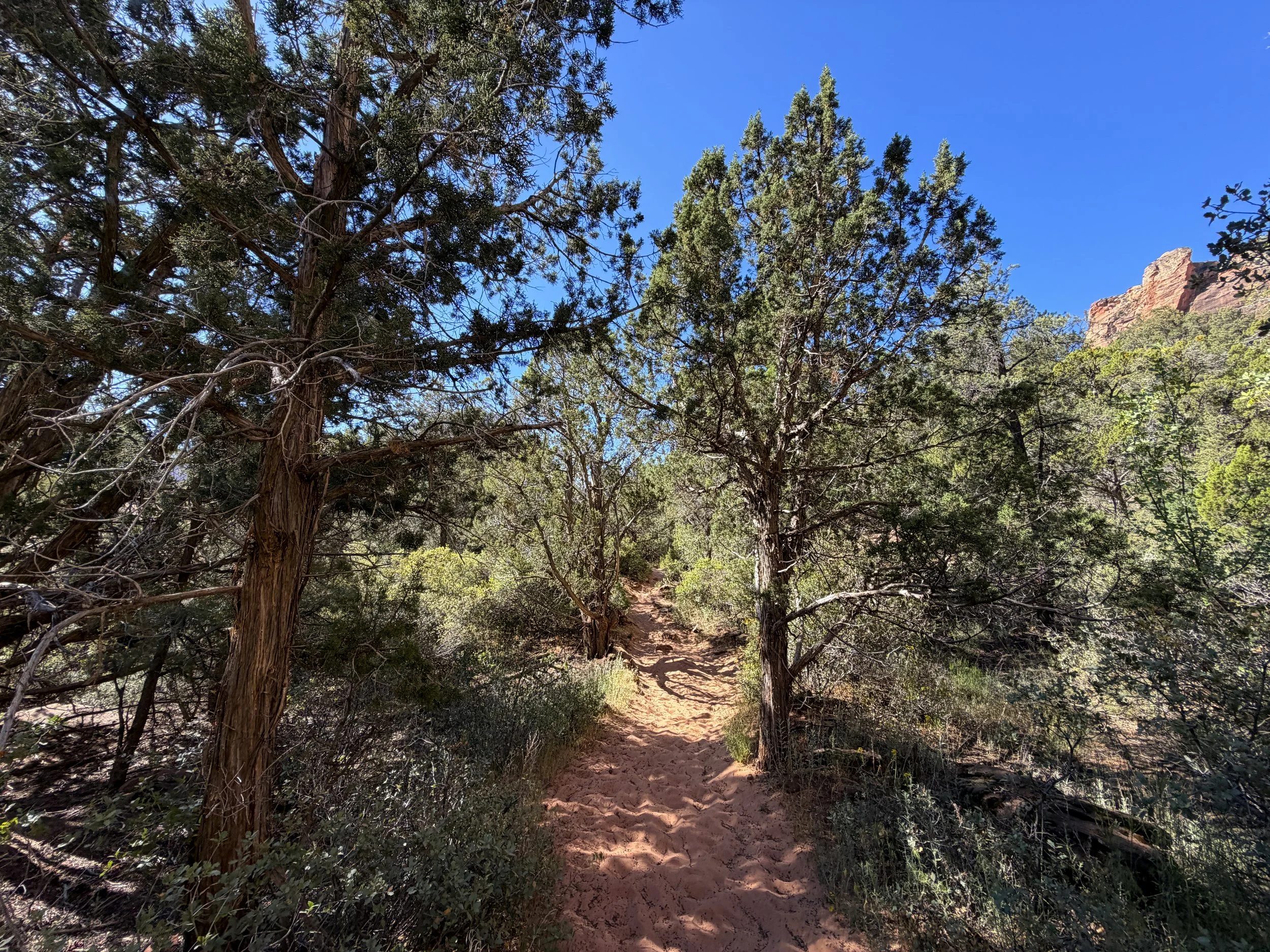 Sand Bench Trail Zion National Park Utah