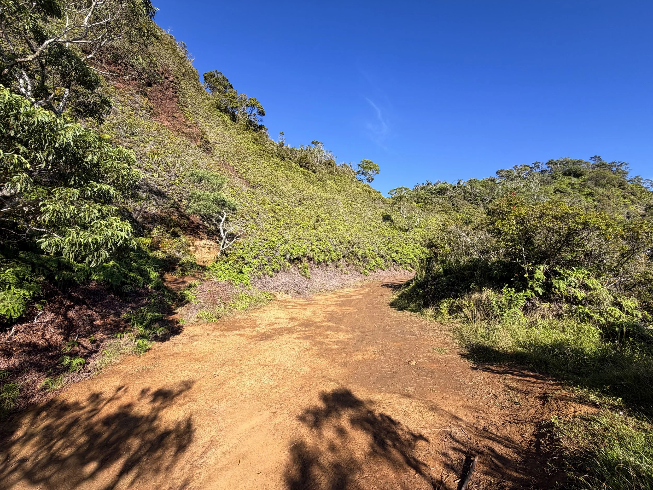 Poamoho Trailhead Parking Oahu Hawaii