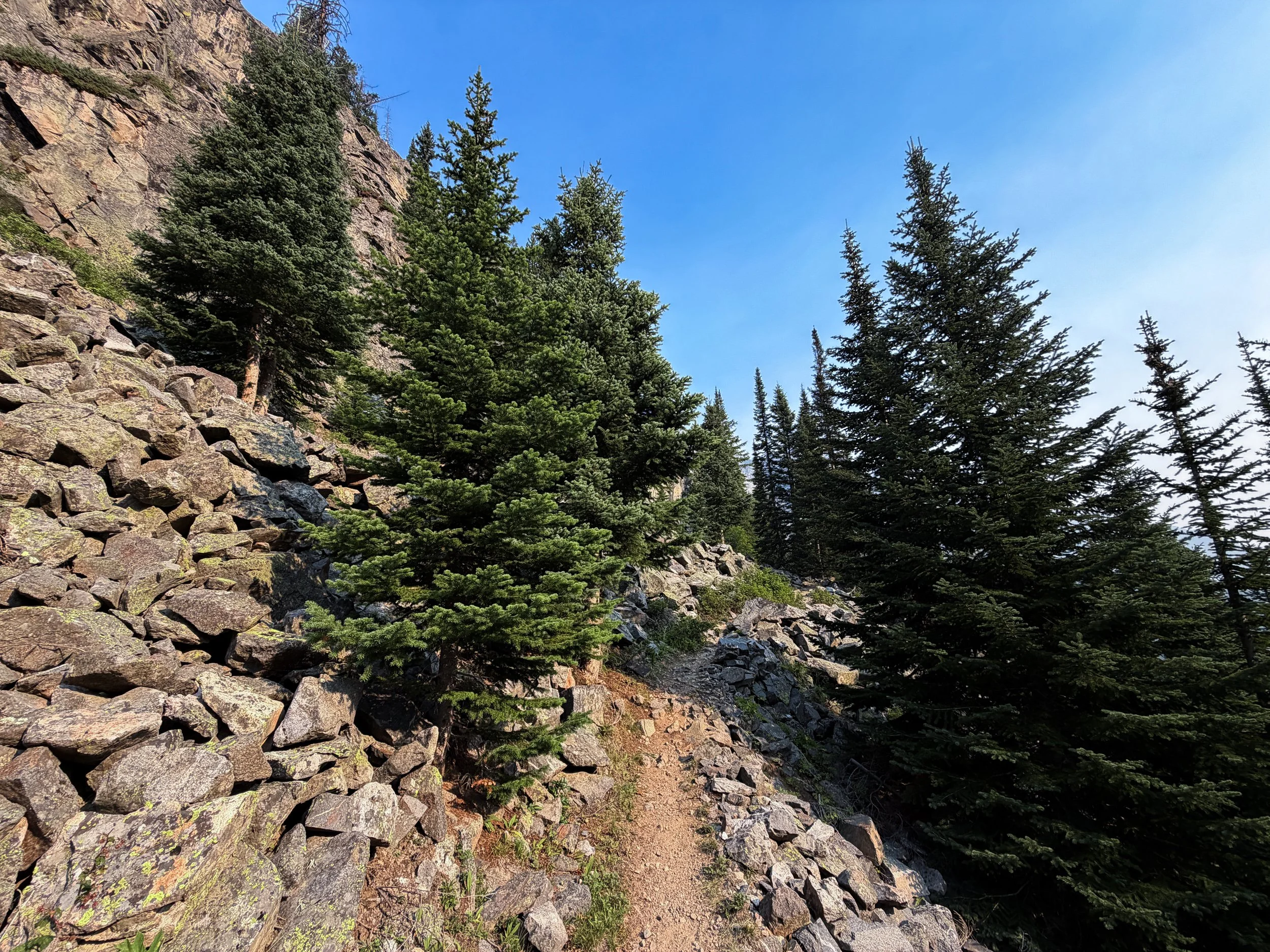 East Rosebud Trail Beaten Path Beartooth Mountains Montana