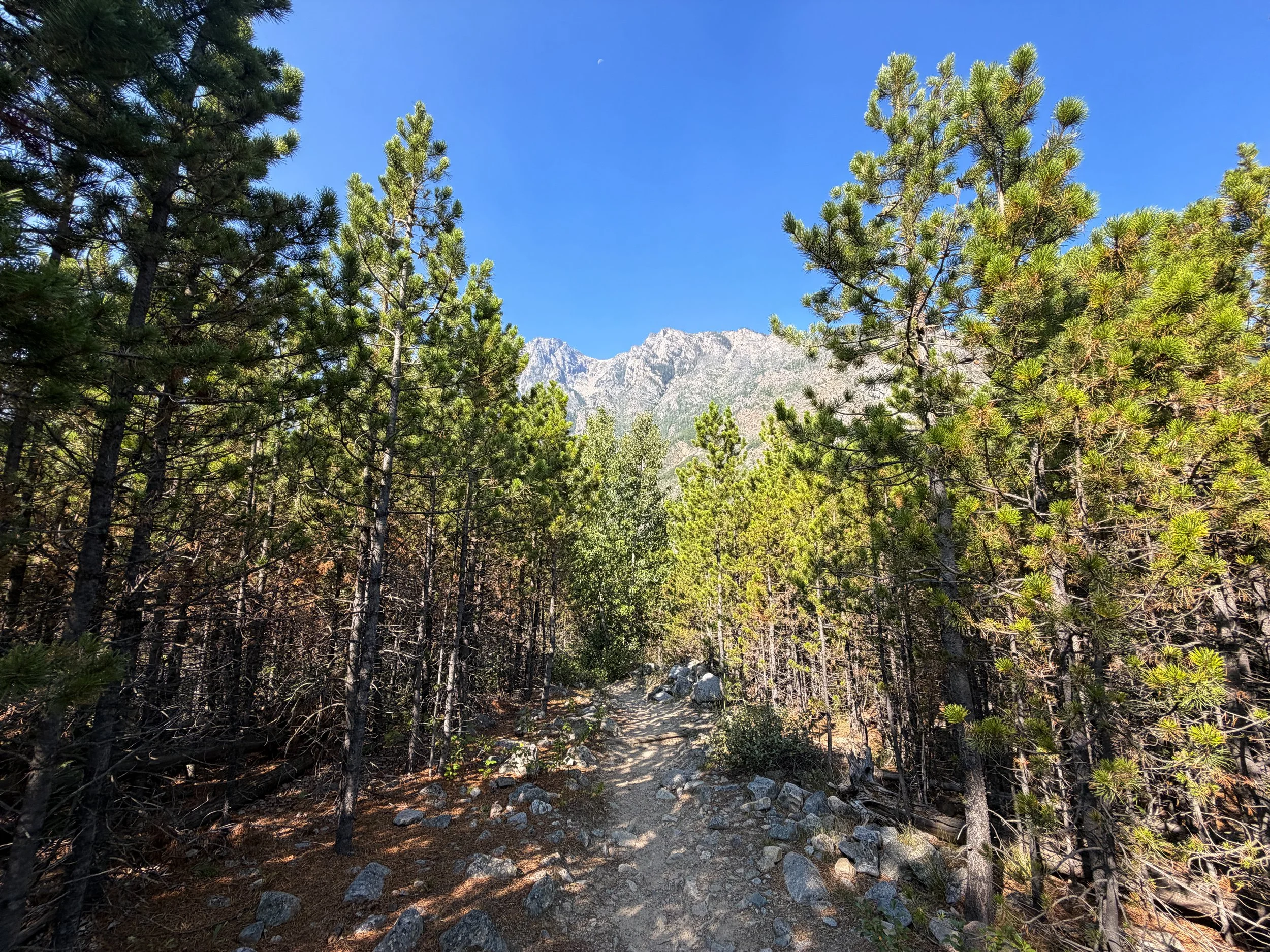 East Rosebud Trail Beartooth Mountains Montana
