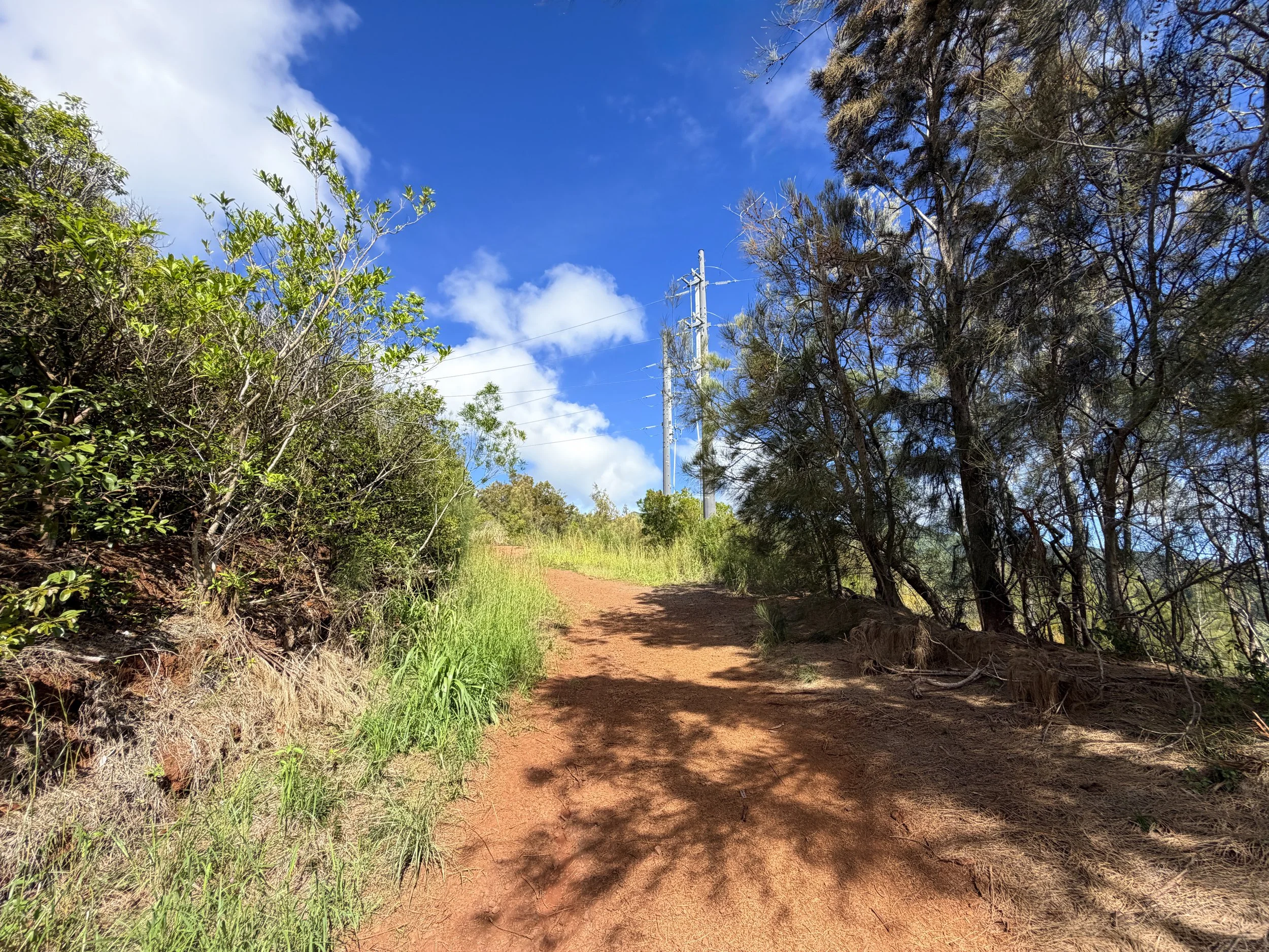 Wiliwilinui Ridge Trail Oahu Hawaii