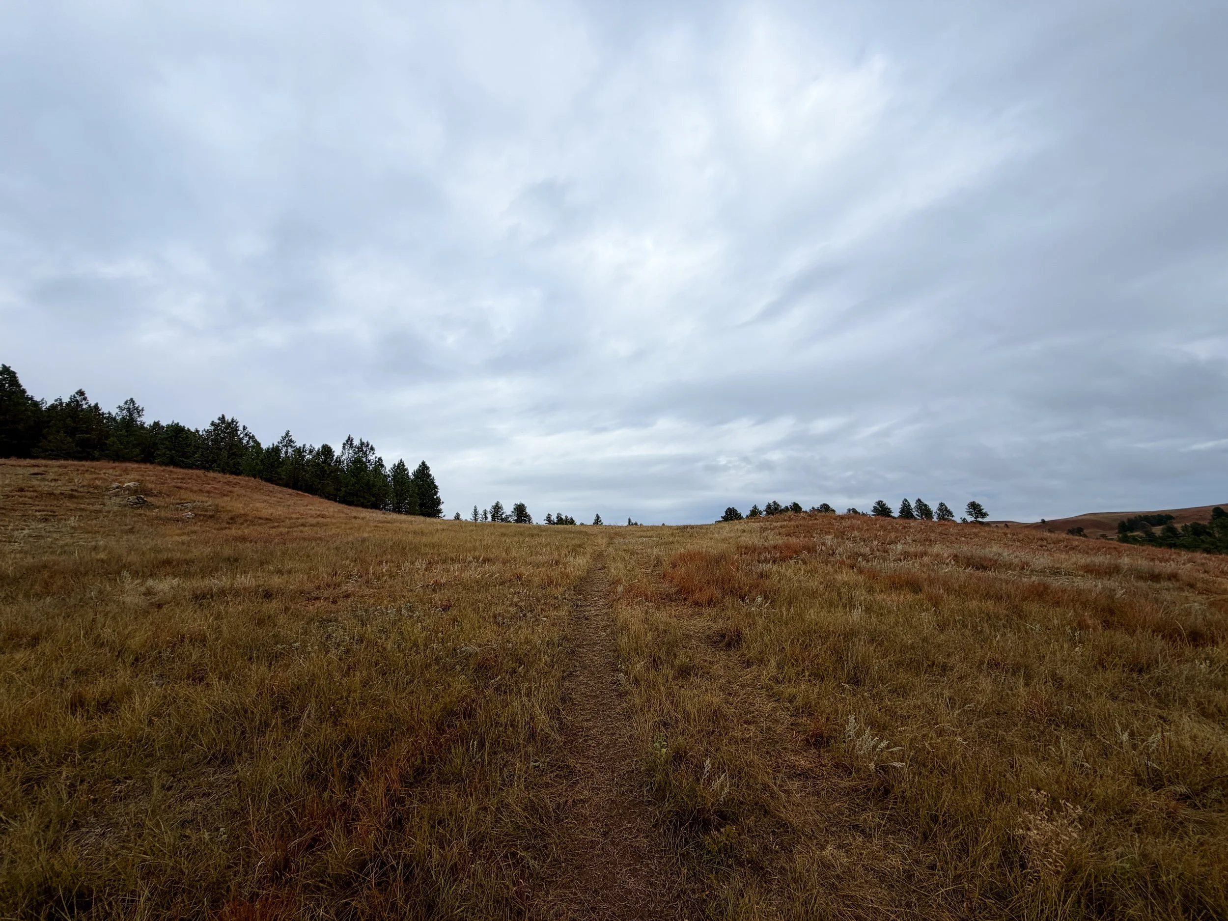 Highland Creek Trail to Wind Cave Canyon Wind Cave National Park South Dakota