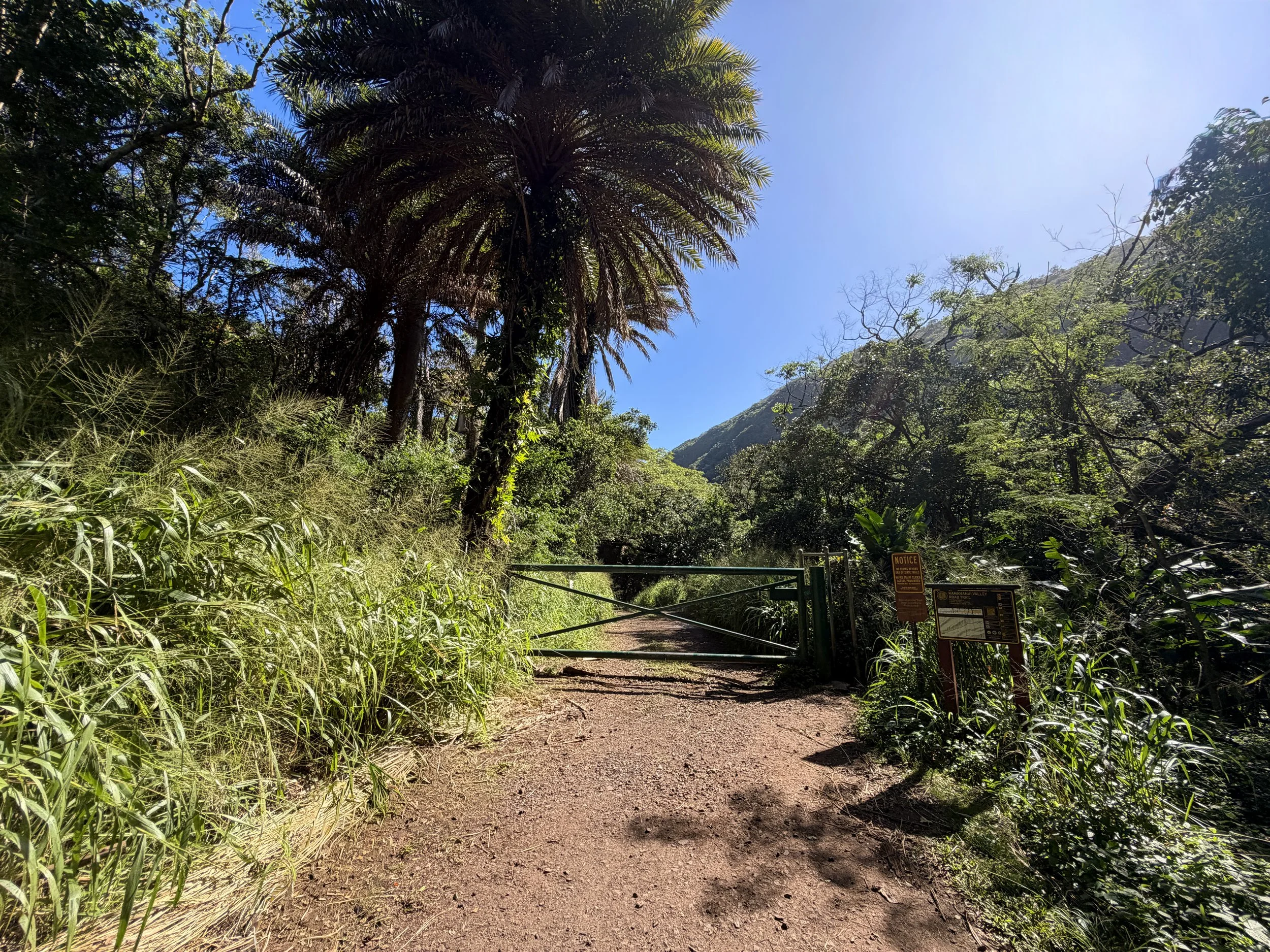 Tripler Ridge Trailhead via Moanalua Valley Oahu Hawaii