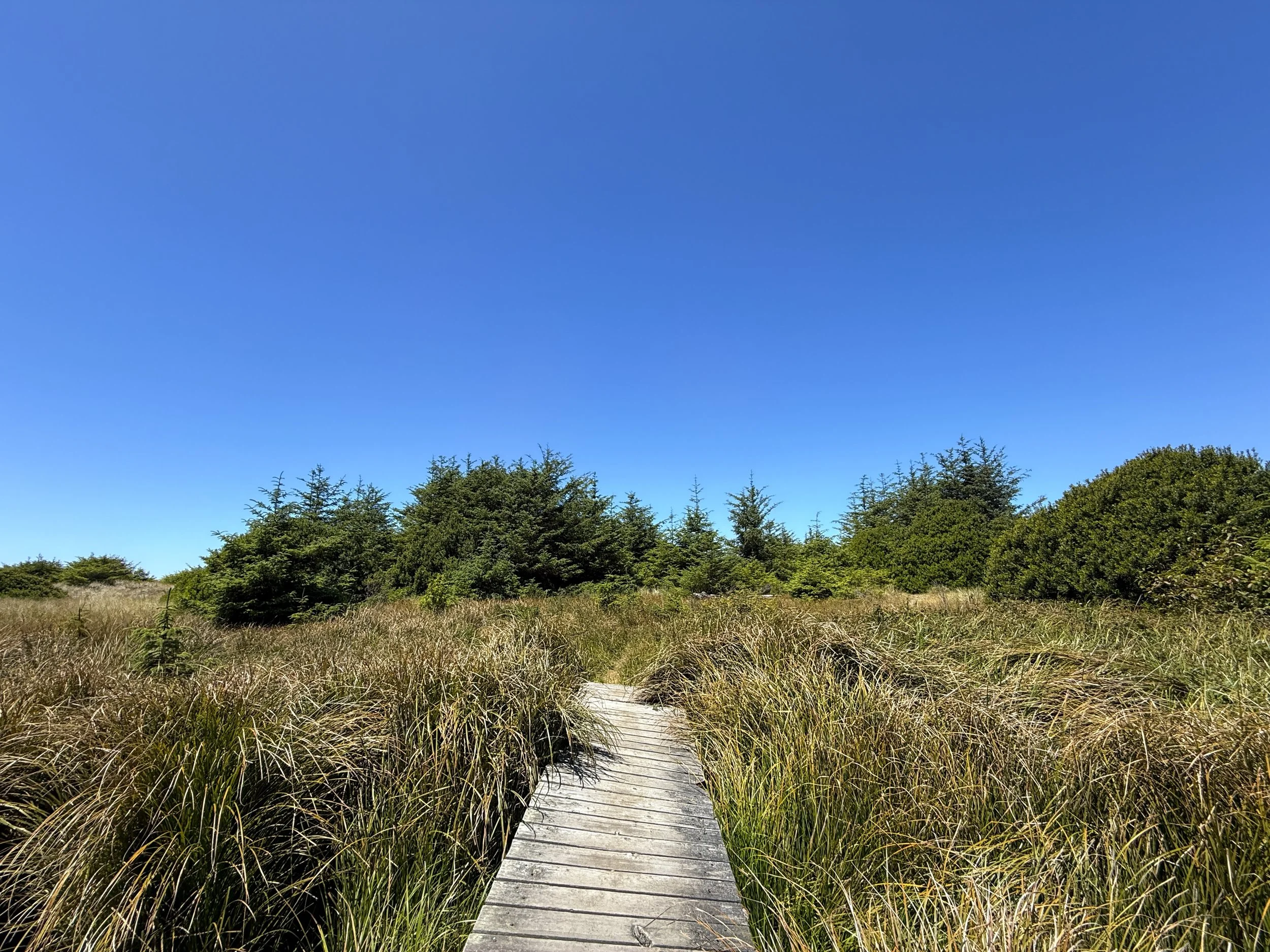 Ossagon Trail Prairie Creek Redwoods State Park California