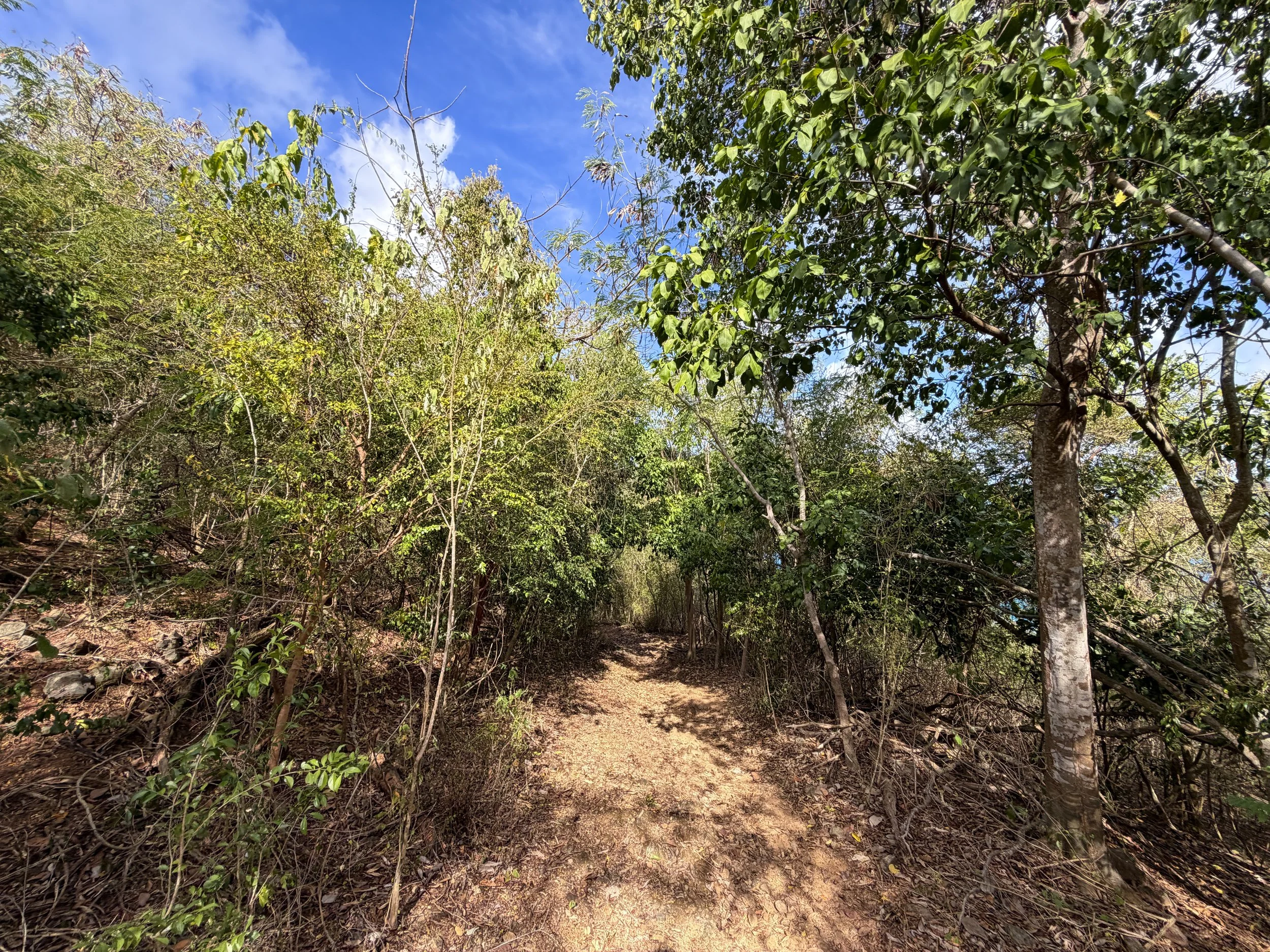 Brown Bay Hike Virgin Islands National Park