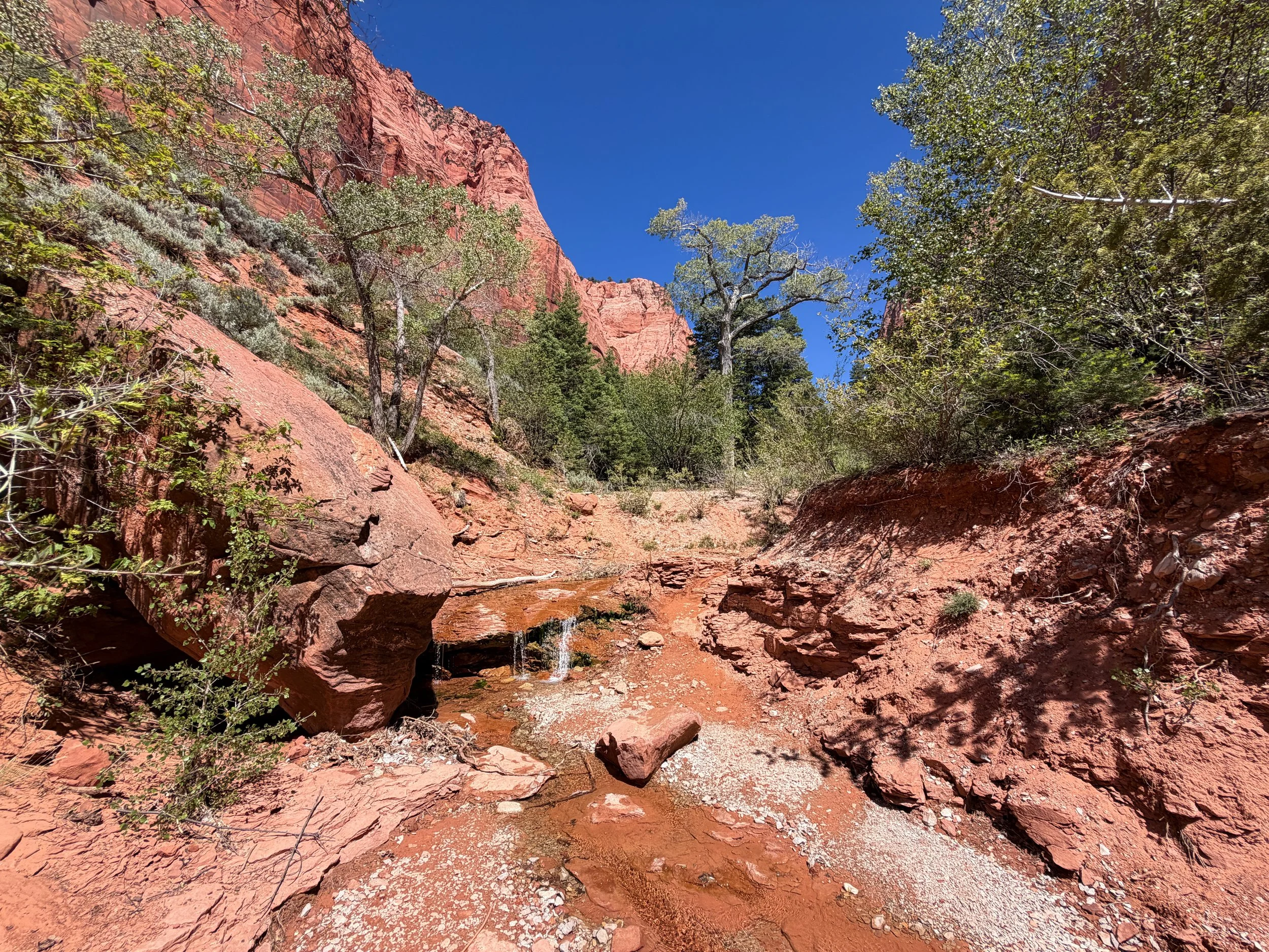 Taylor Creek Trail to Double Arch Alcove Zion National Park Utah