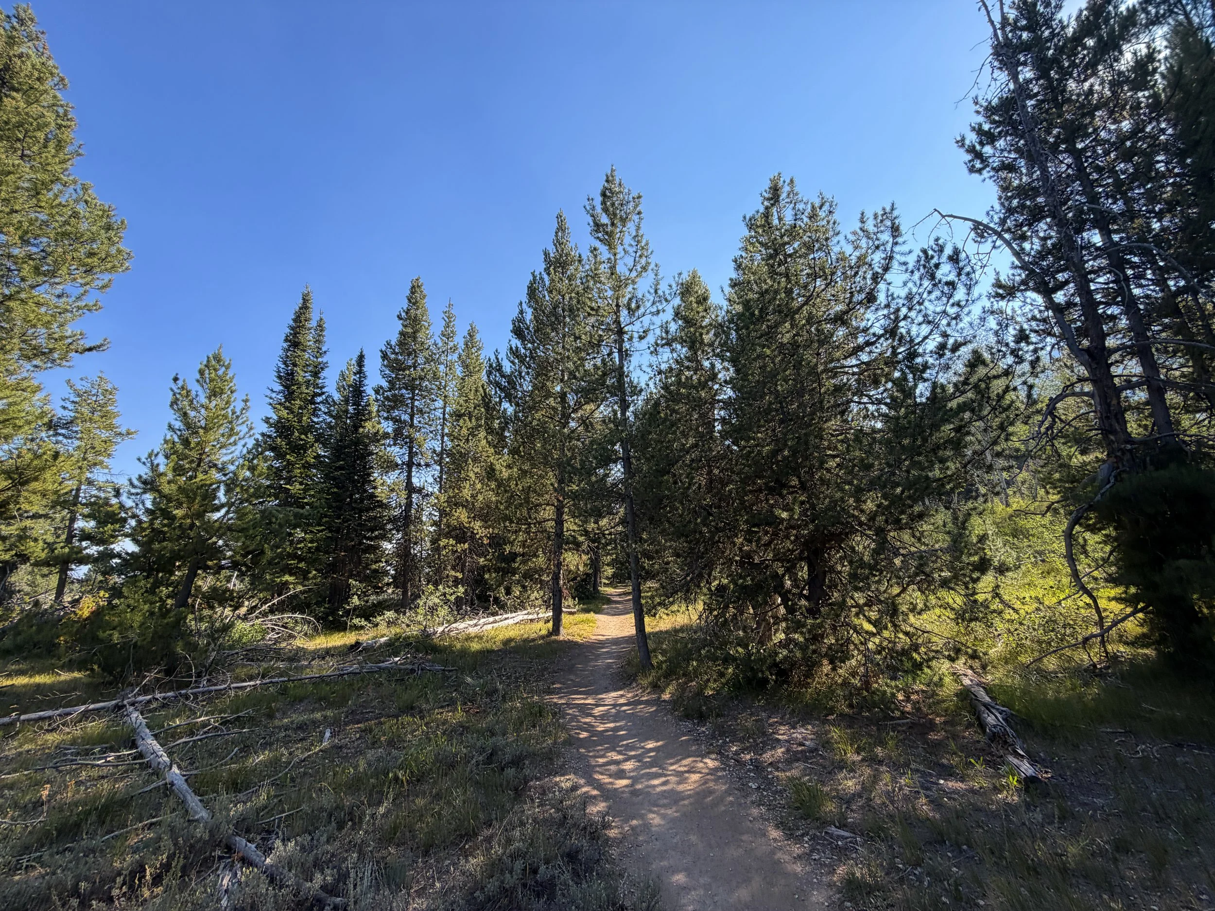 Moose Ponds Loop Trail Grand Teton National Park Wyoming