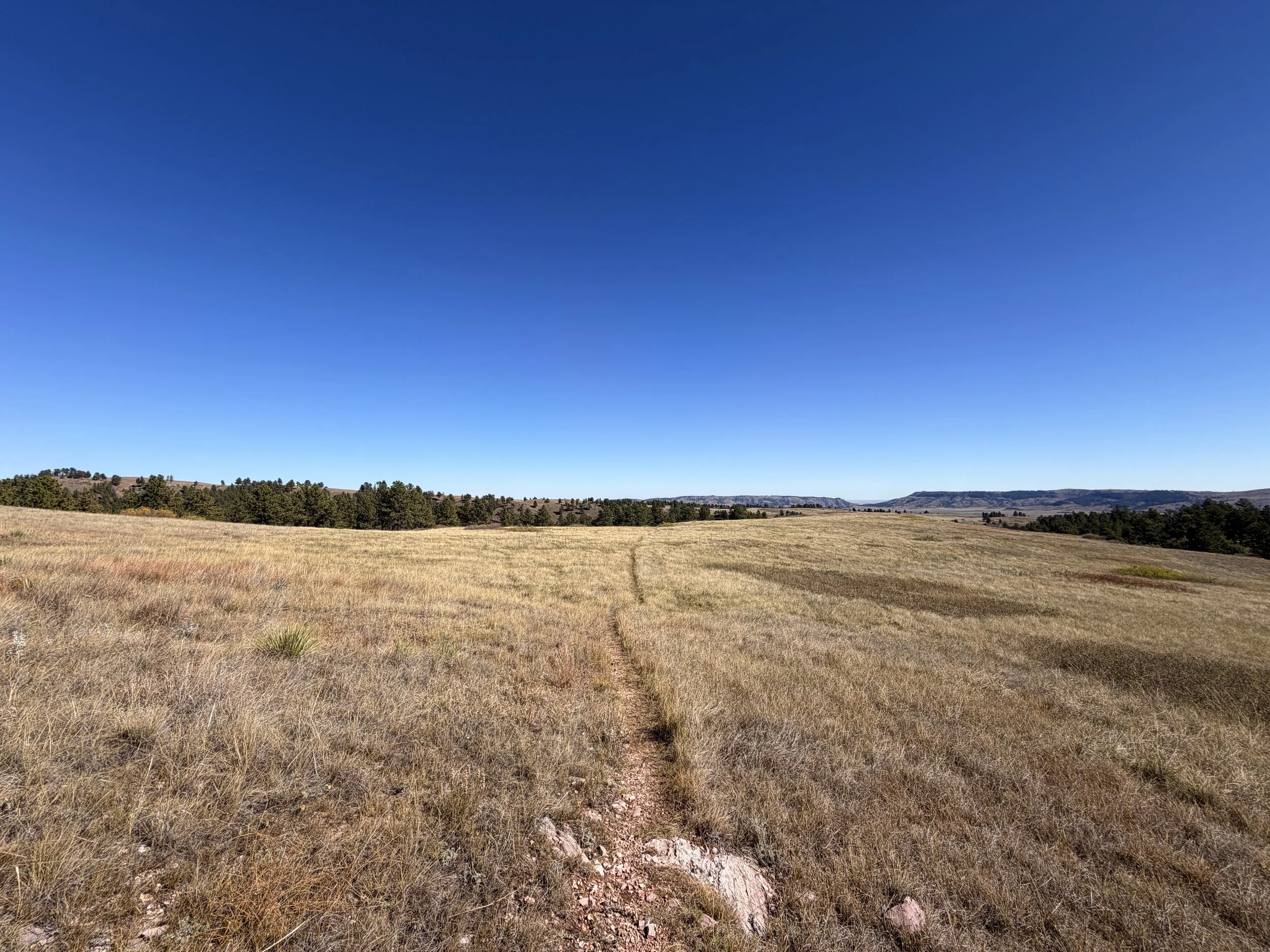 East Bison Flats Trail Wind Cave National Park South Dakota