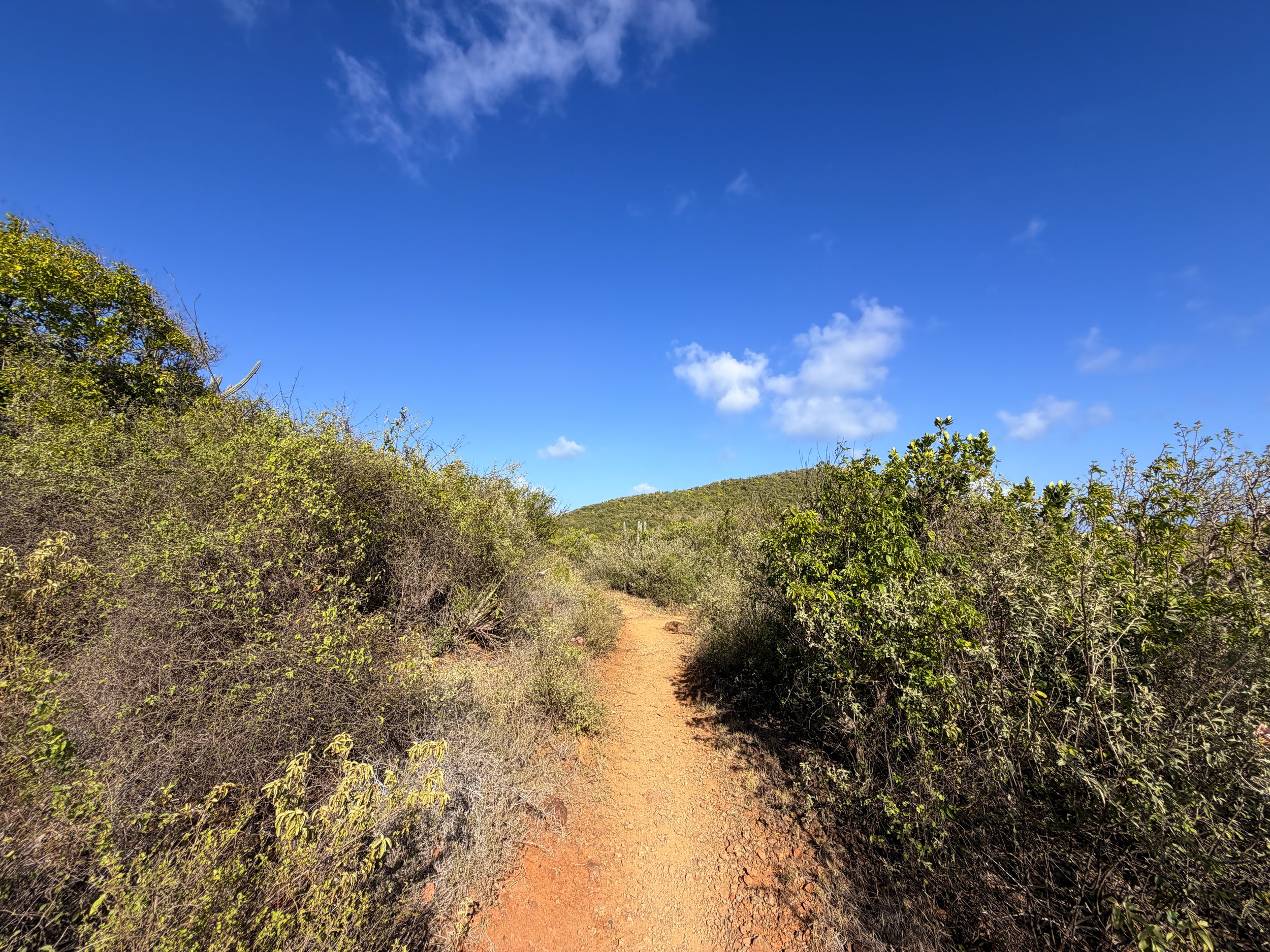 Rams Head Trail Virgin Islands National Park