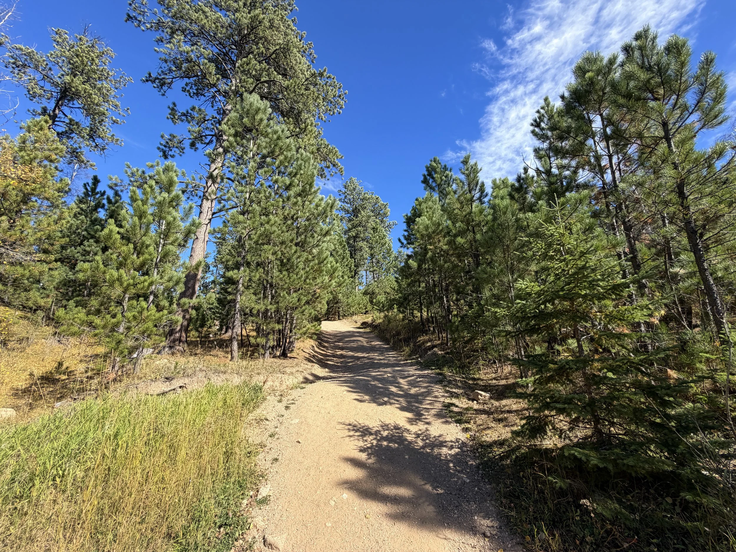 Black Elk Peak Trail Custer State Park Black Hills South Dakota