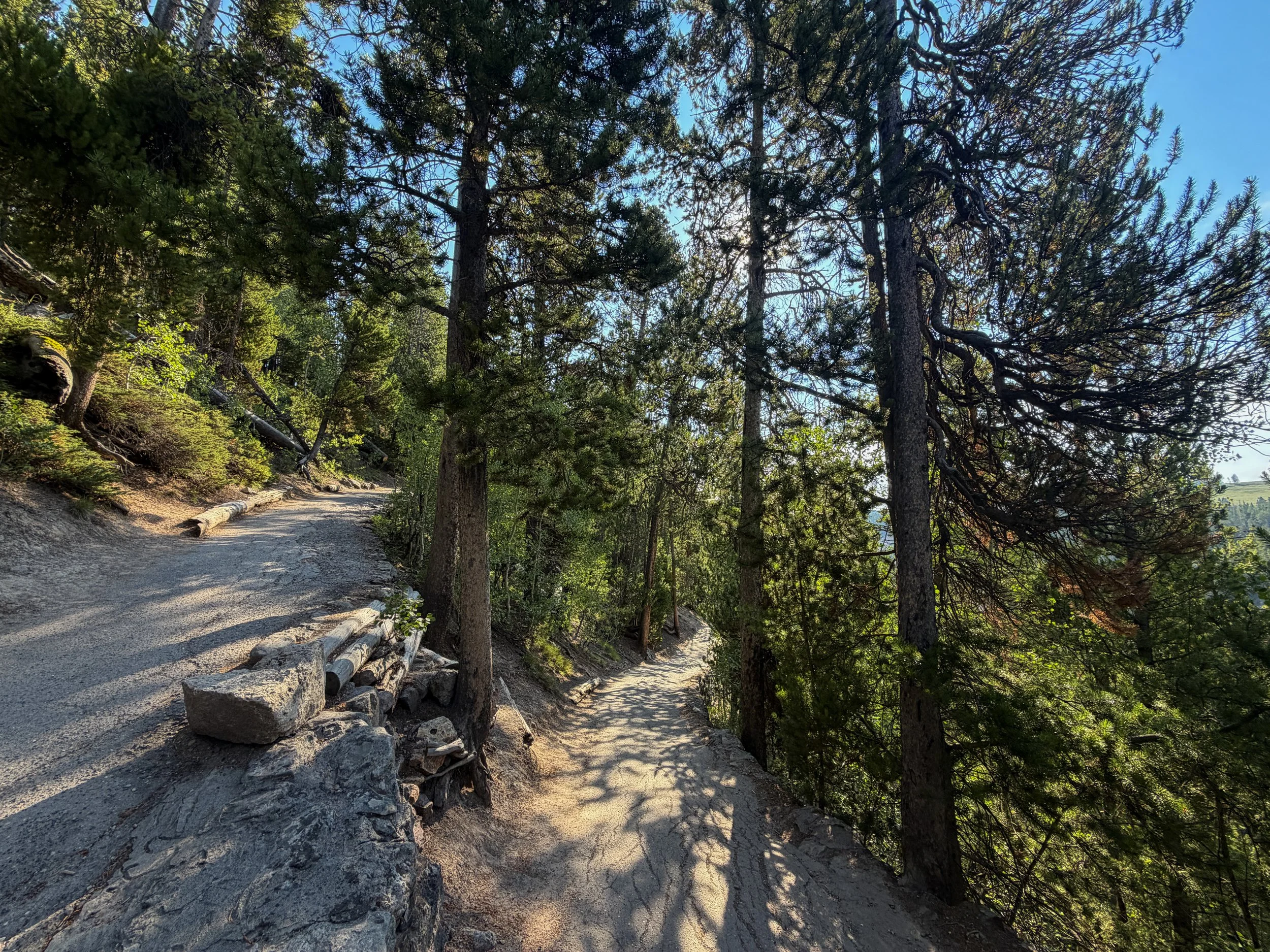 Brink of the Lower Falls Trail Yellowstone National Park Wyoming