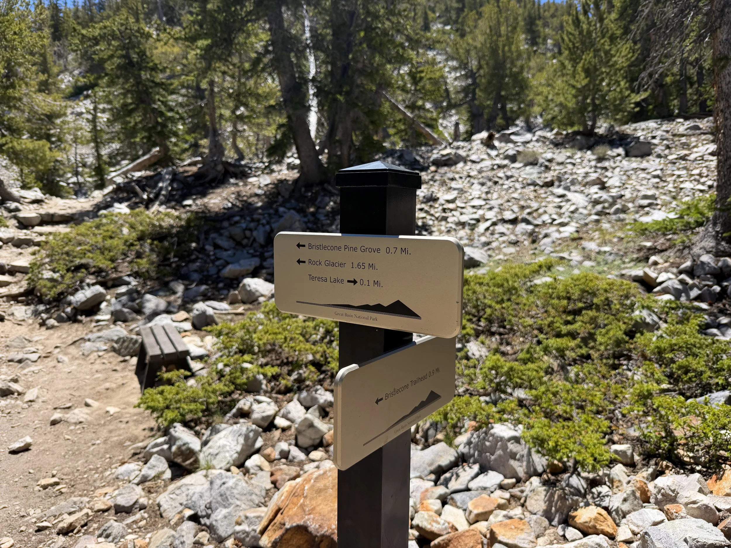 Bristlecone Hike Great Basin National Park Nevada