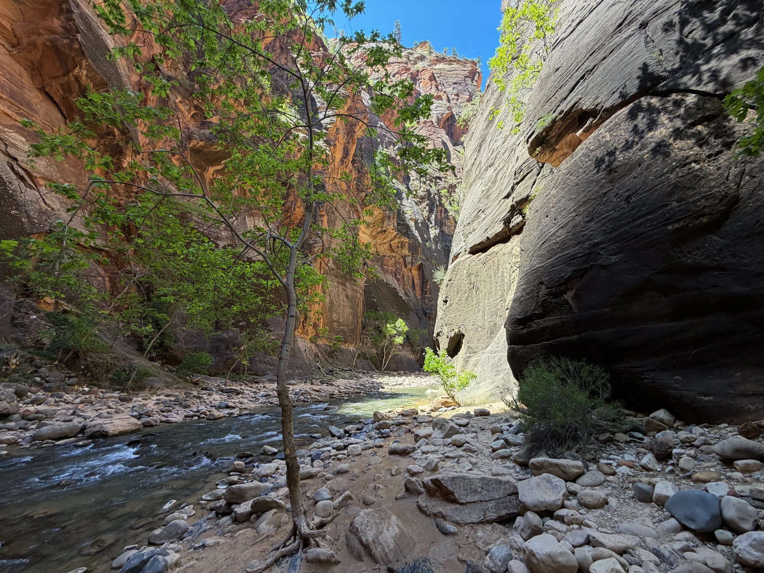 Narrows Trail Zion National Park Utah