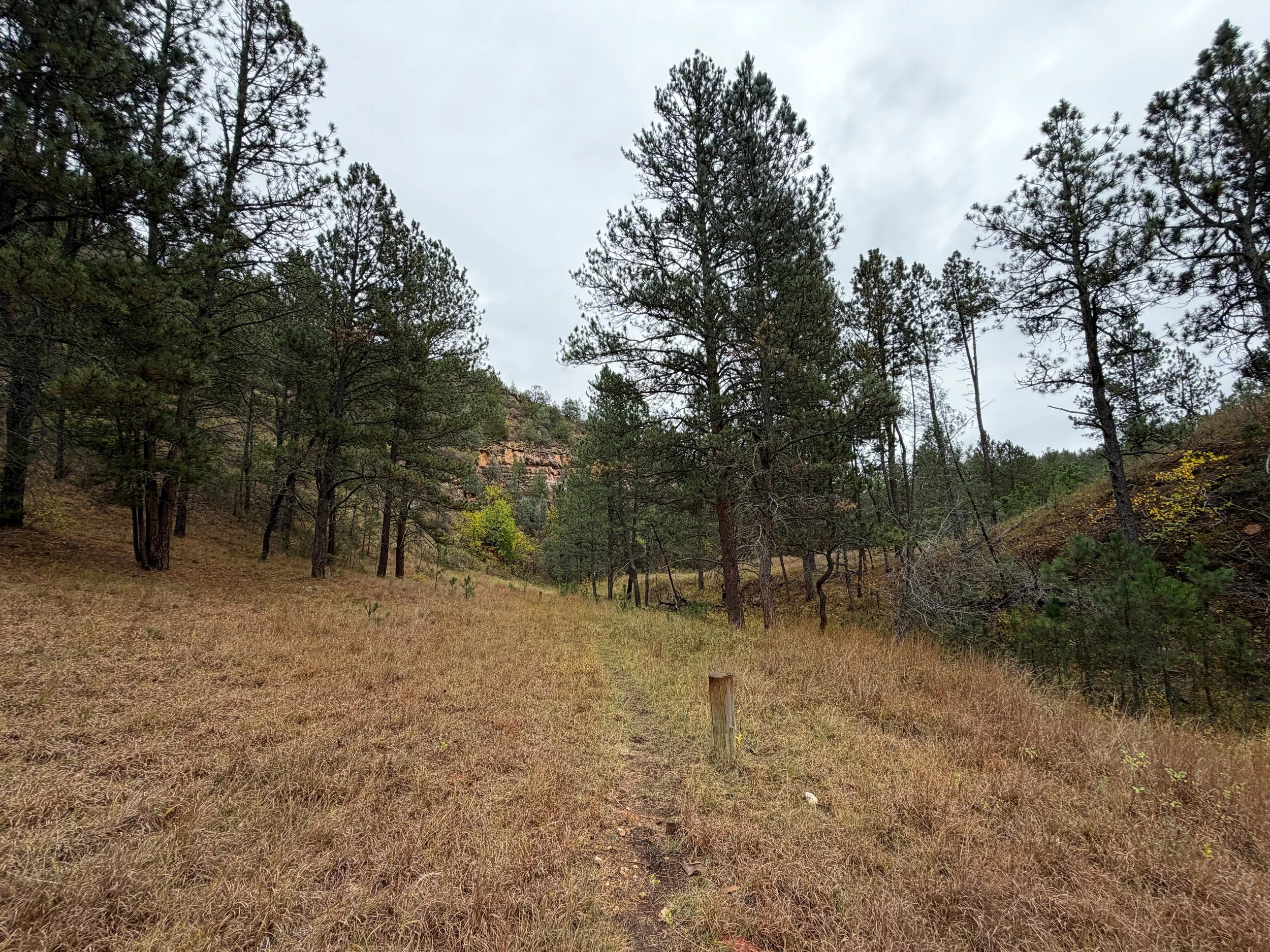 Highland Creek Trail Wind Cave National Park South Dakota