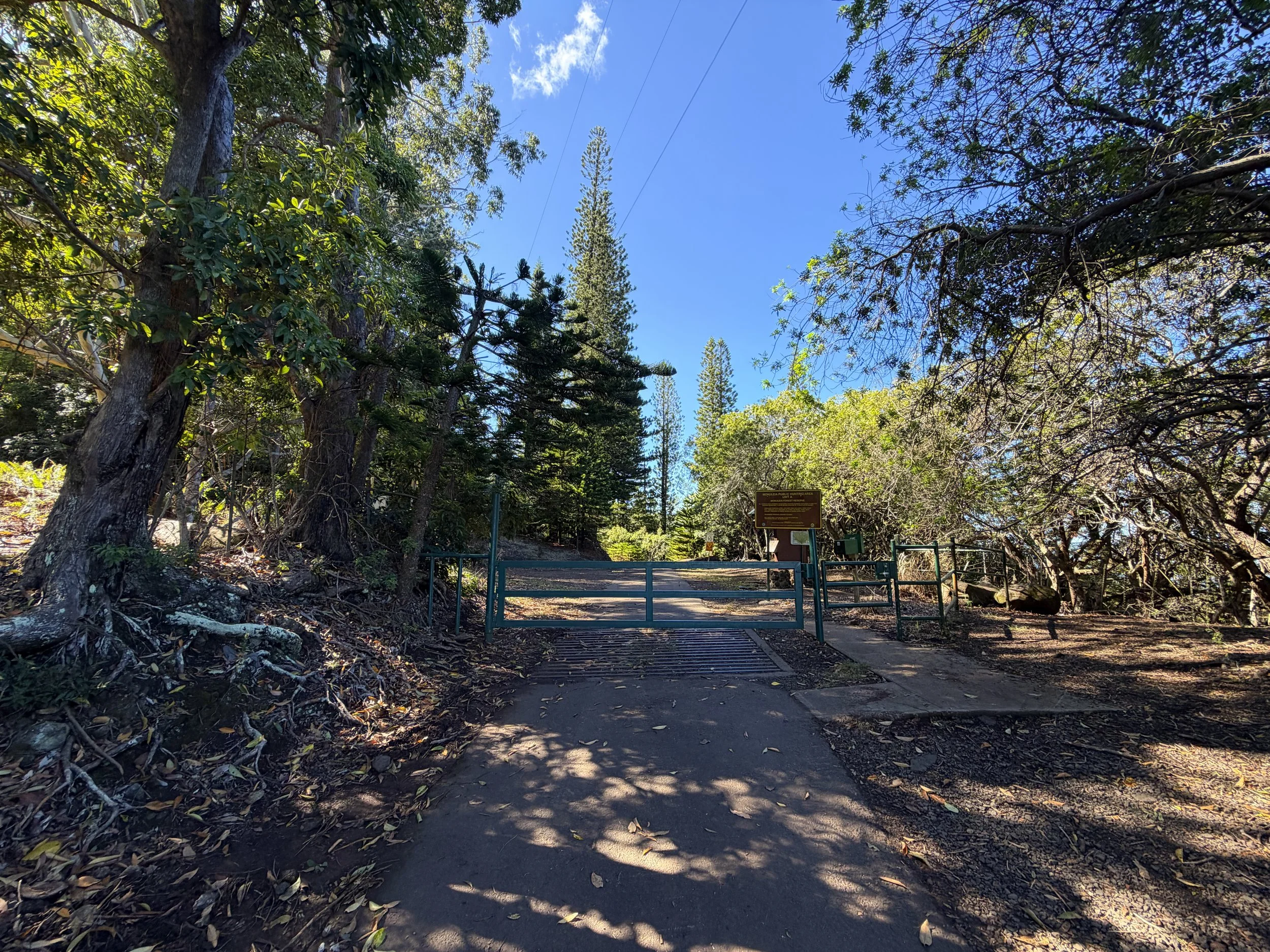 Mokuleia Forest Reserve Access Road to Peacock Flats Oahu Hawaii