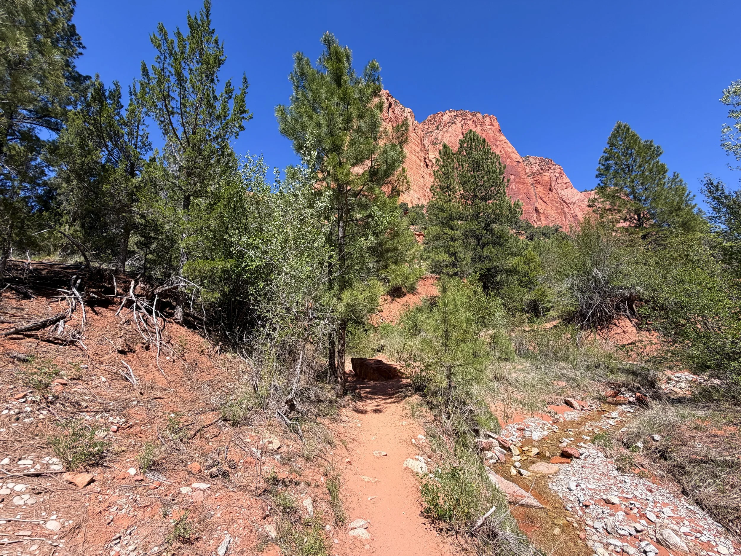Taylor Creek Trail Zion National Park Utah