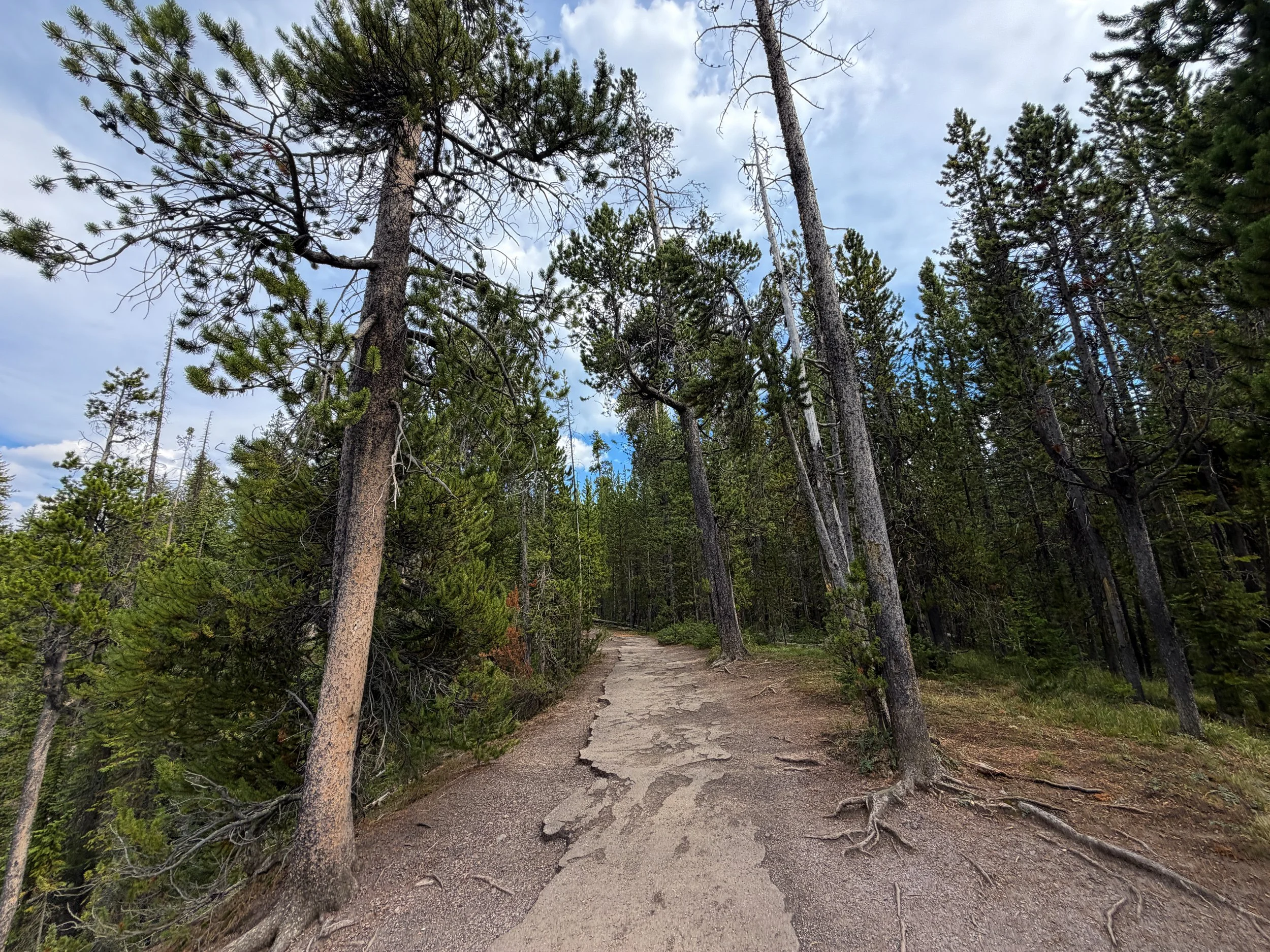 South Rim Trail Yellowstone National Park Wyoming