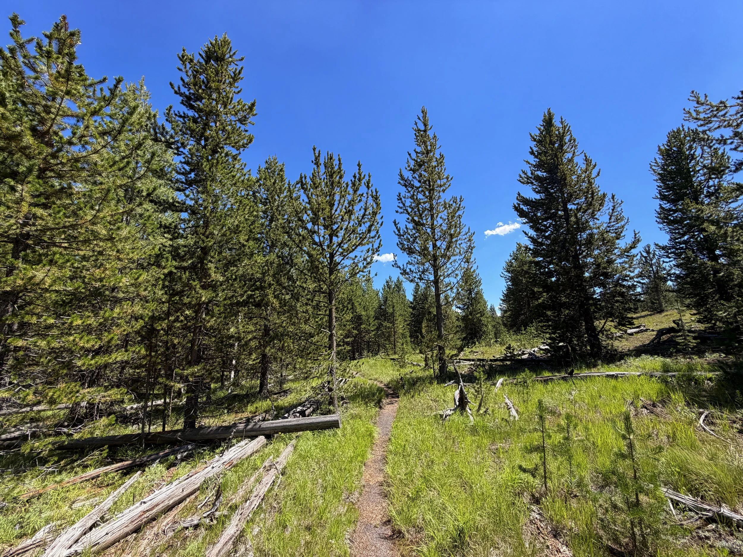 Fern Cascades Loop Hike Yellowstone National Park Wyoming