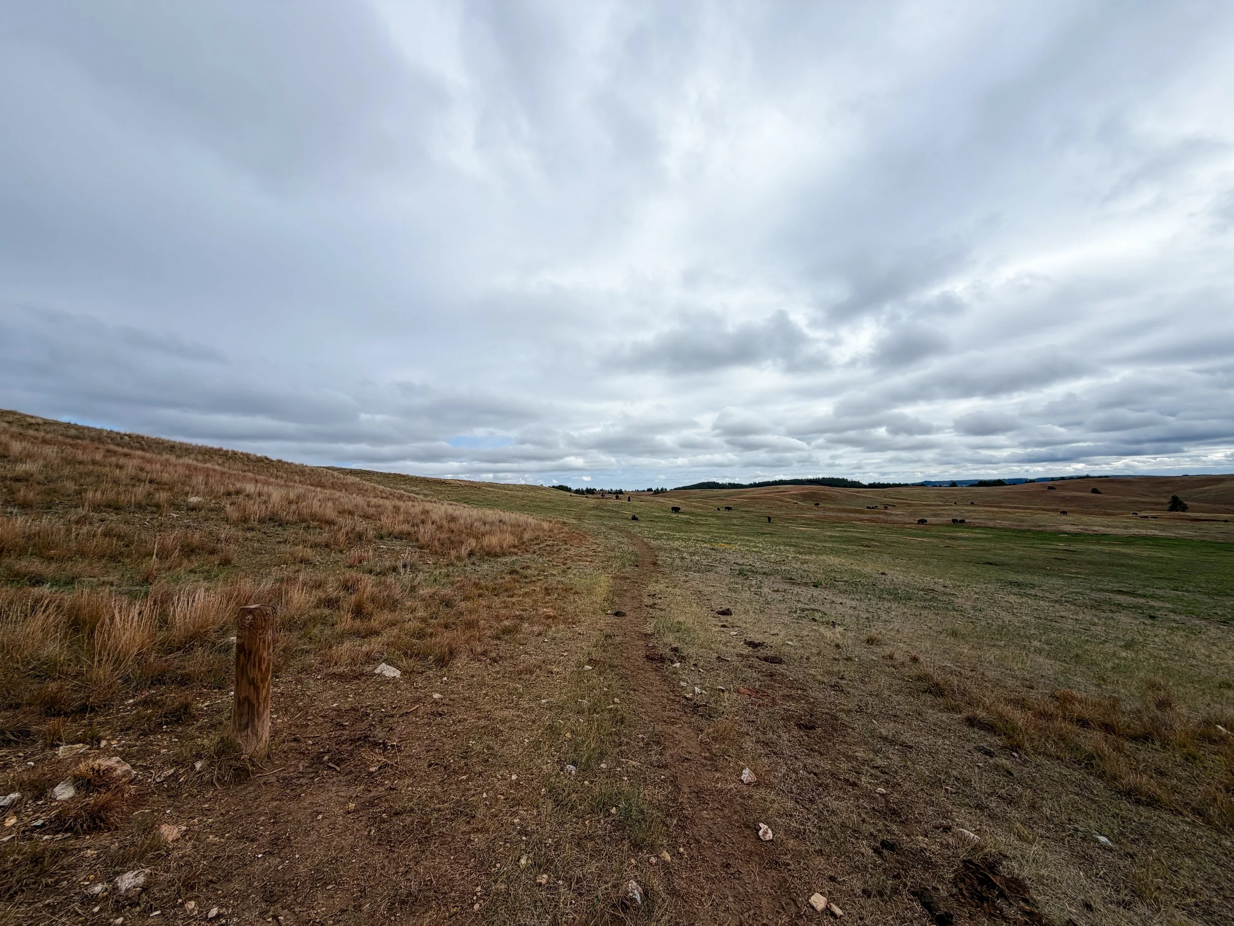 Highland Creek Trail Wind Cave National Park South Dakota