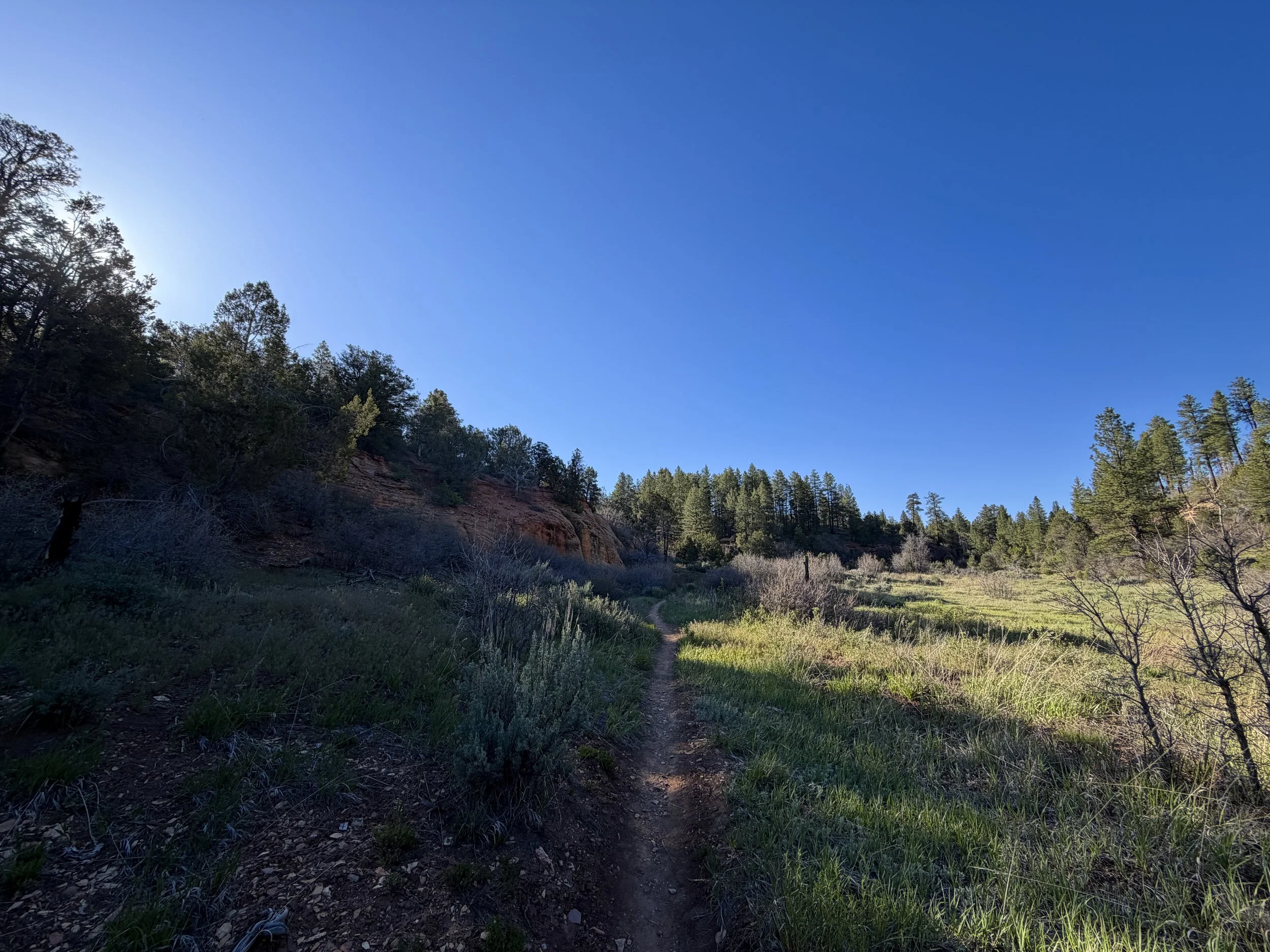 Deertrap Mountain Trail via East Rim Zion National Park Utah