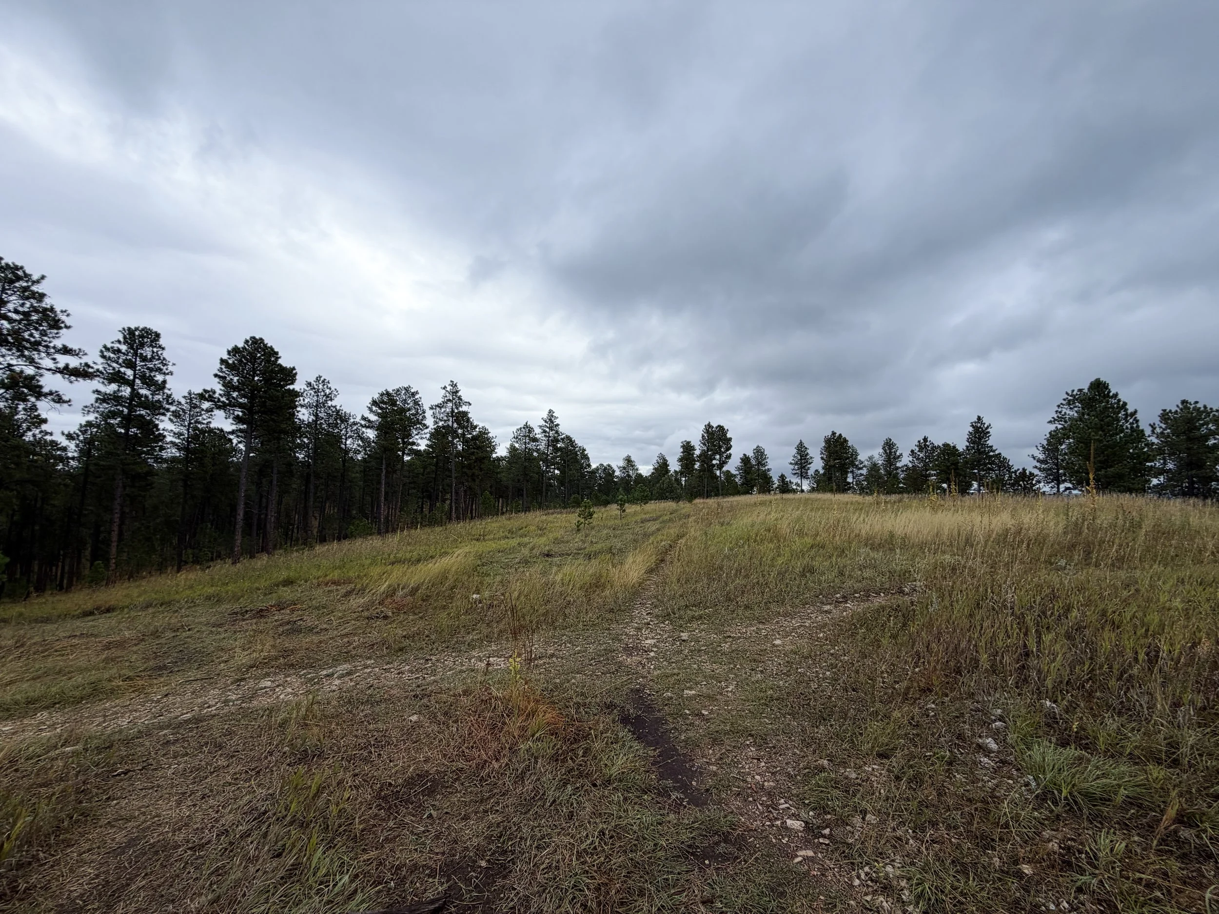 Buzzards Roost Loop Trail Black Hills Rapid City South Dakota