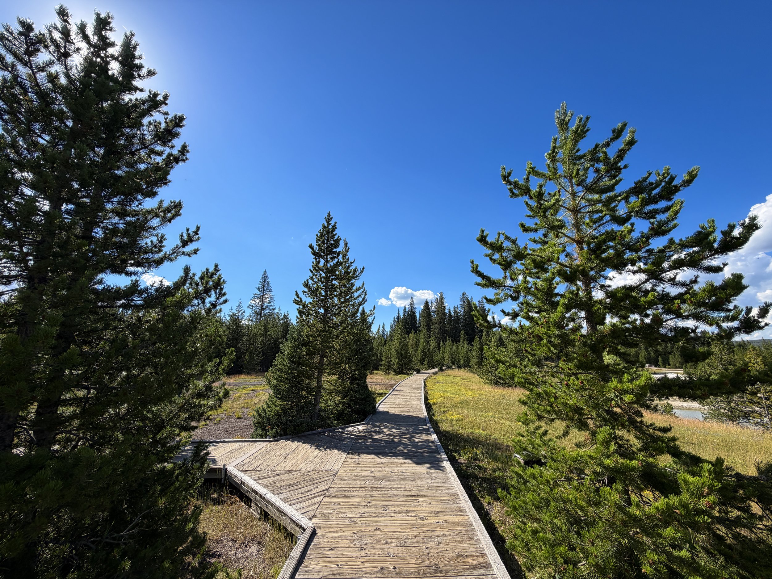 West Thumb Geyser Basin Trail Yellowstone National Park Wyoming