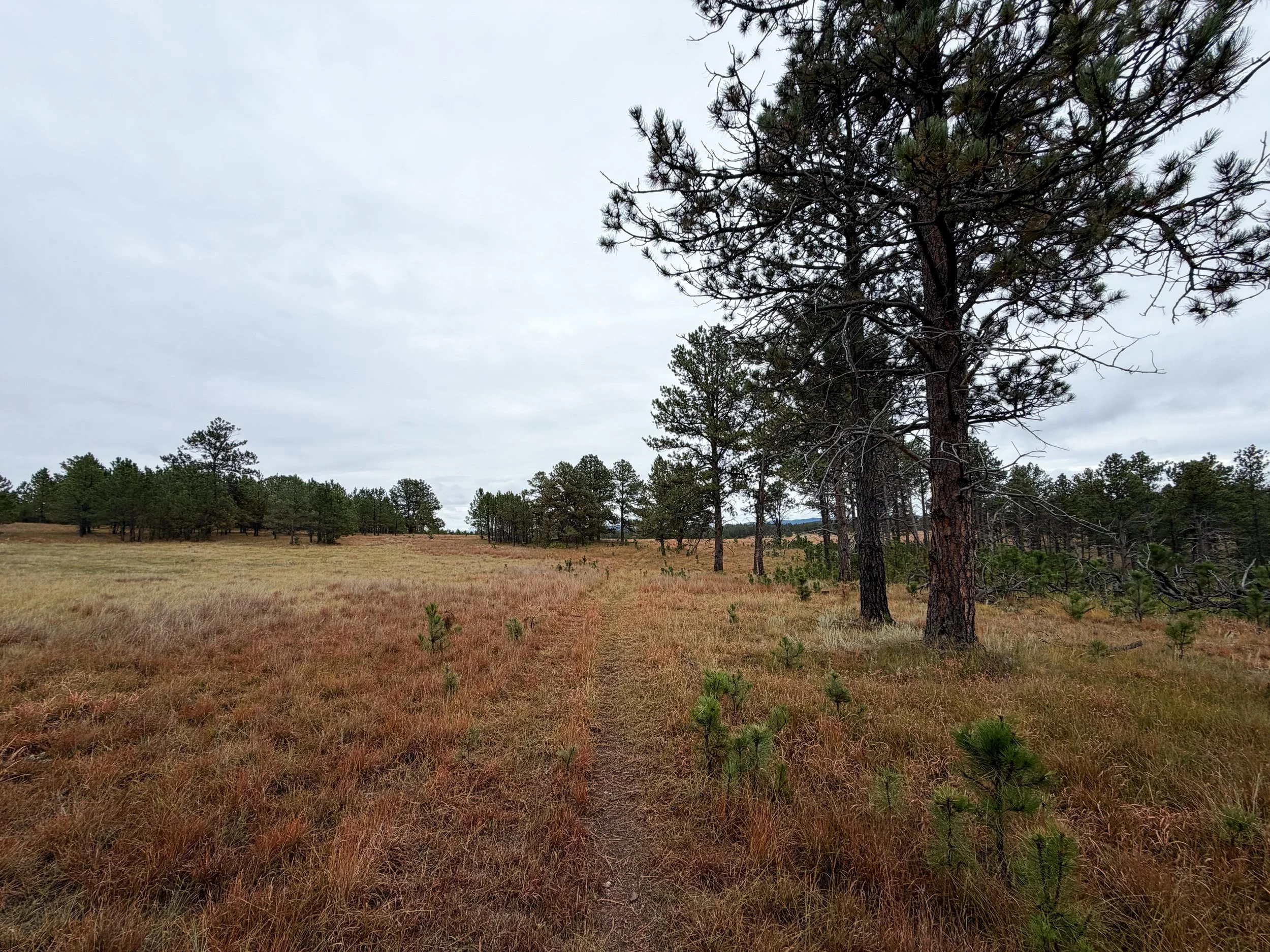 Highland Creek Hike Wind Cave National Park South Dakota