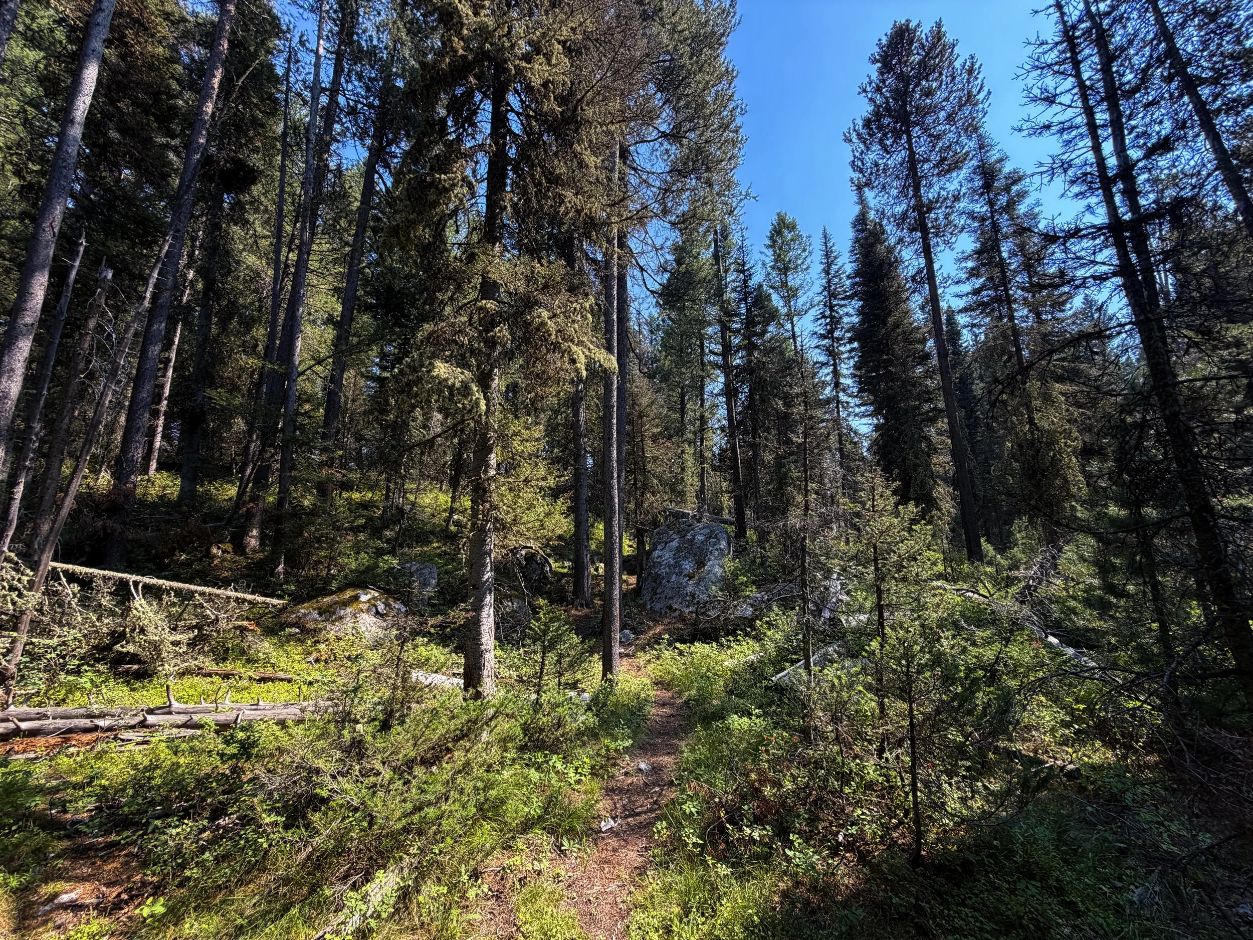 Boulder Field Trail Grand Teton National Park Wyoming