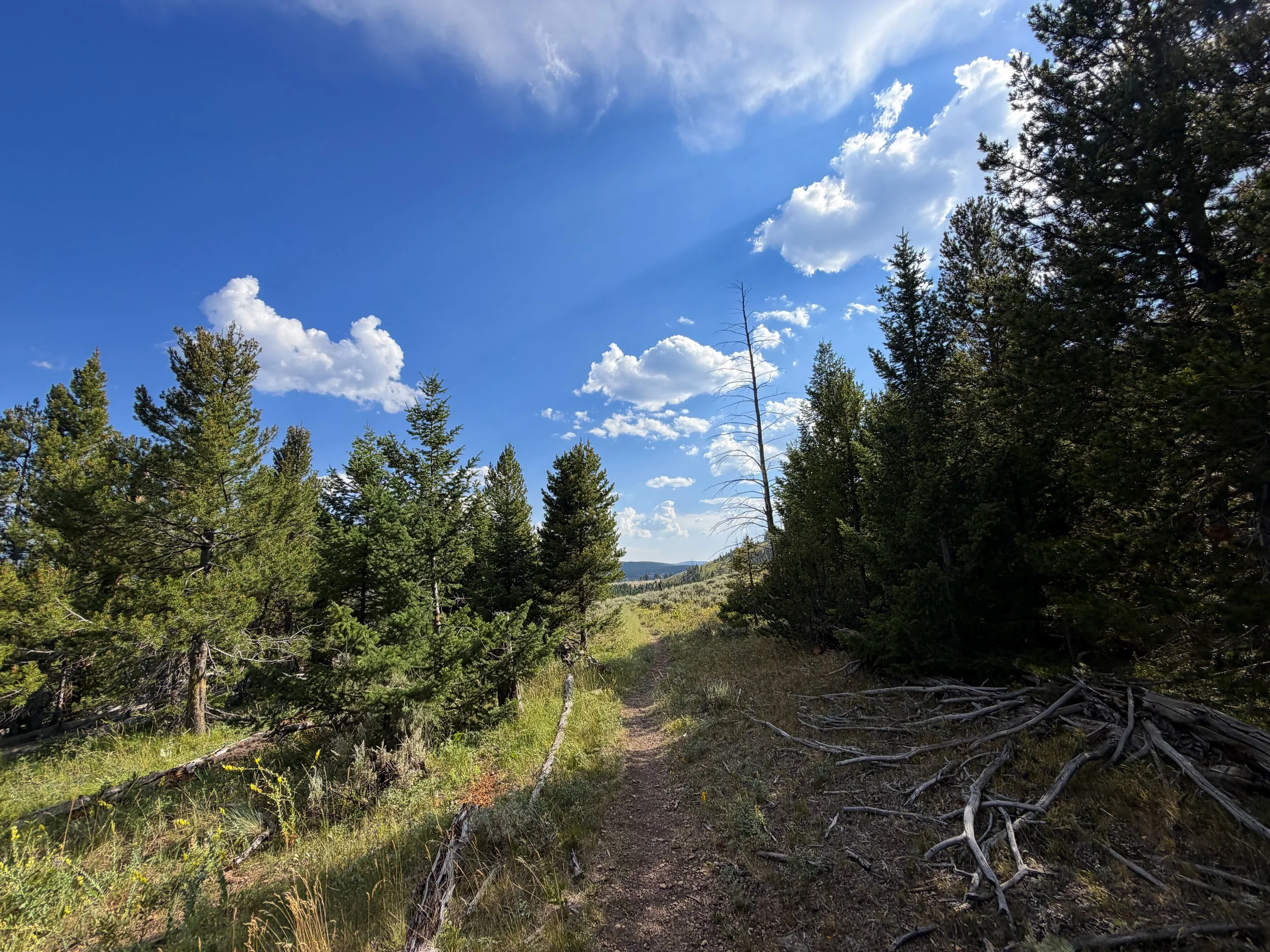 Bunsen Peak Trail Yellowstone National Park Wyoming