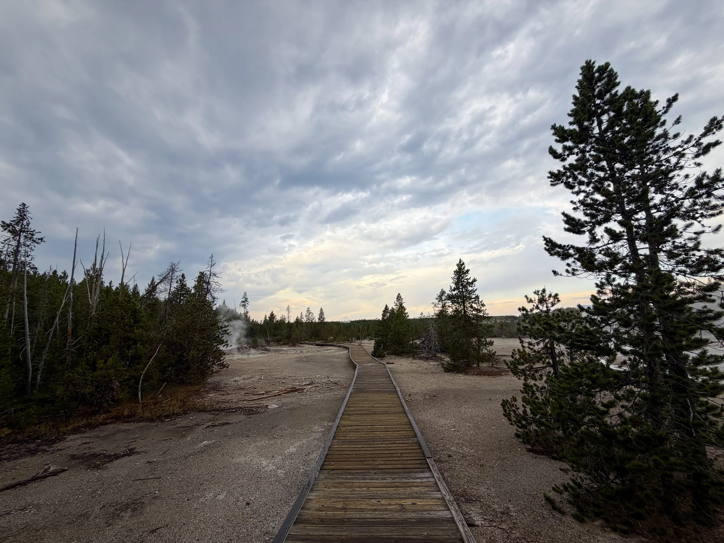Norris Geyser Basin Loop Trail Yellowstone National Park Wyoming