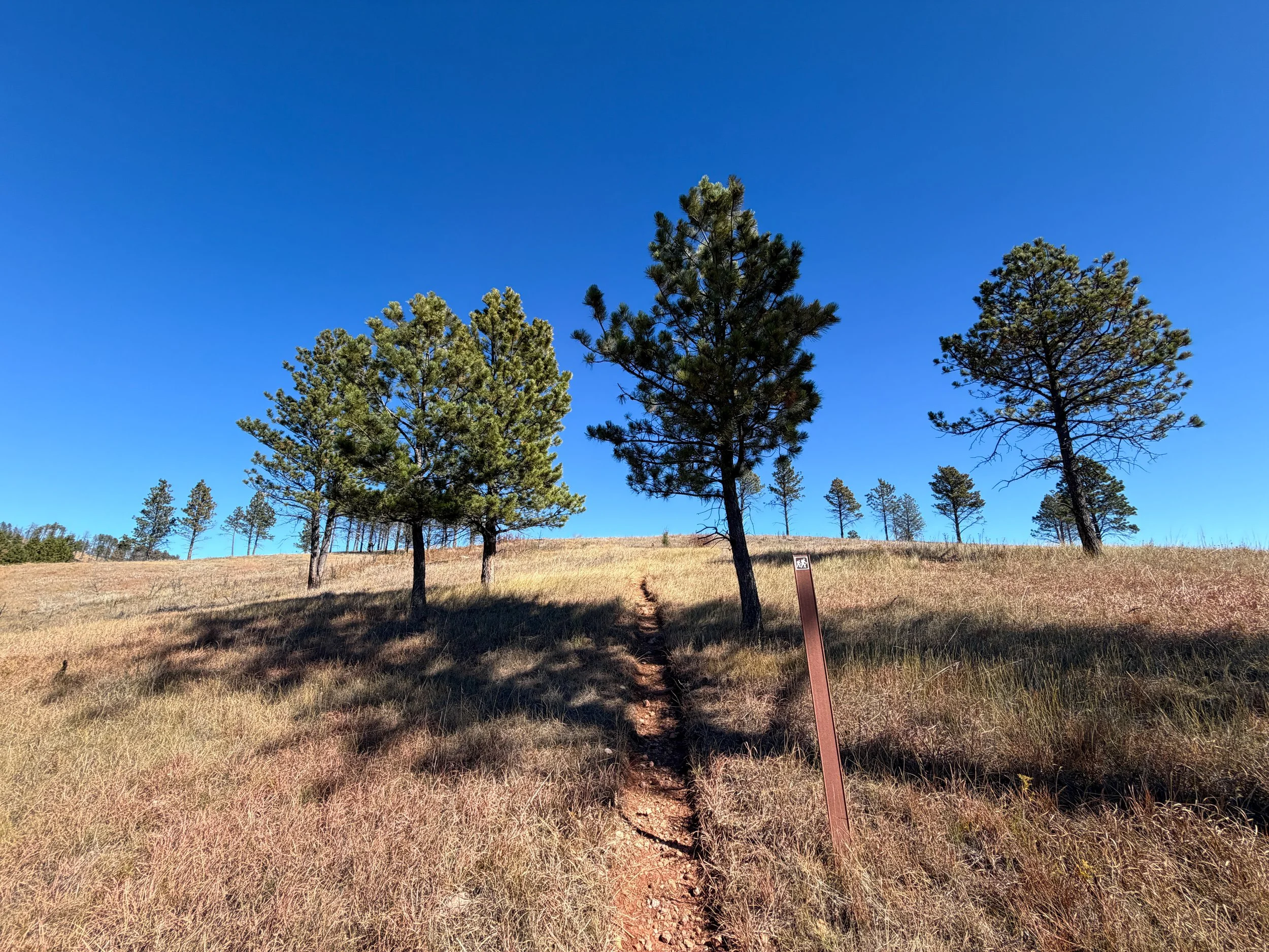 Elk Mountain Nature Trail Wind Cave National Park South Dakota