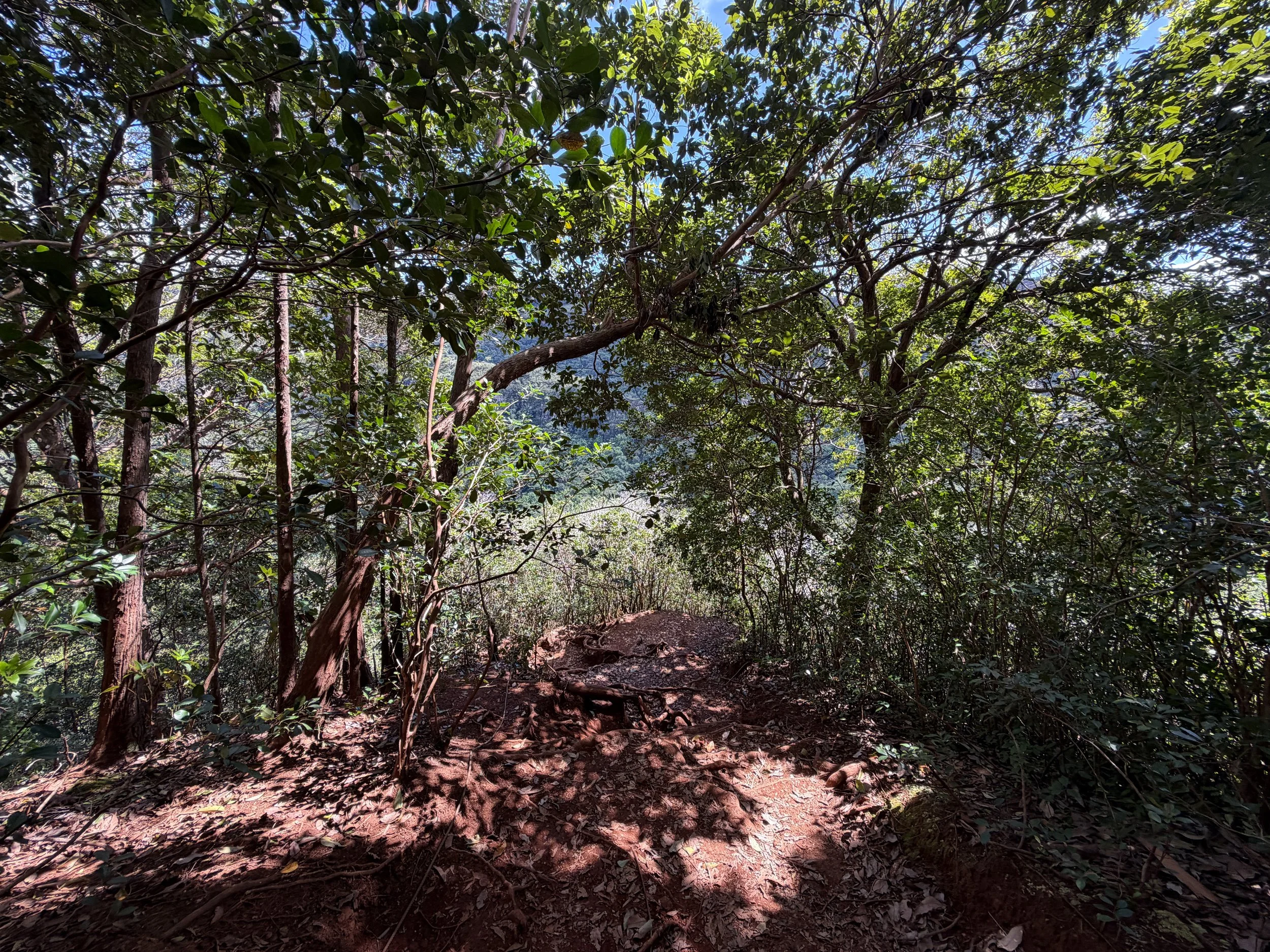 Waimano Falls Hike Oahu Hawaii